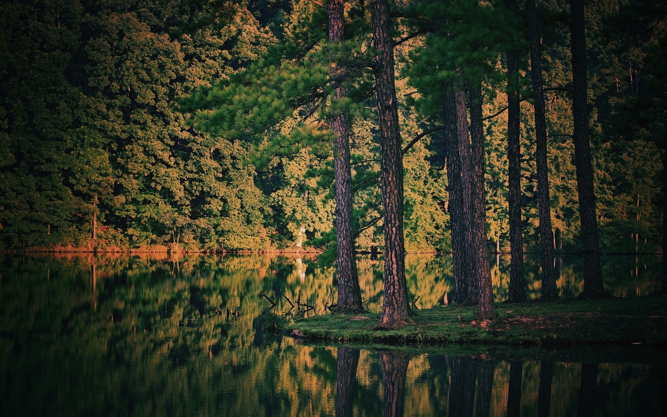 Островок посреди озера обои
