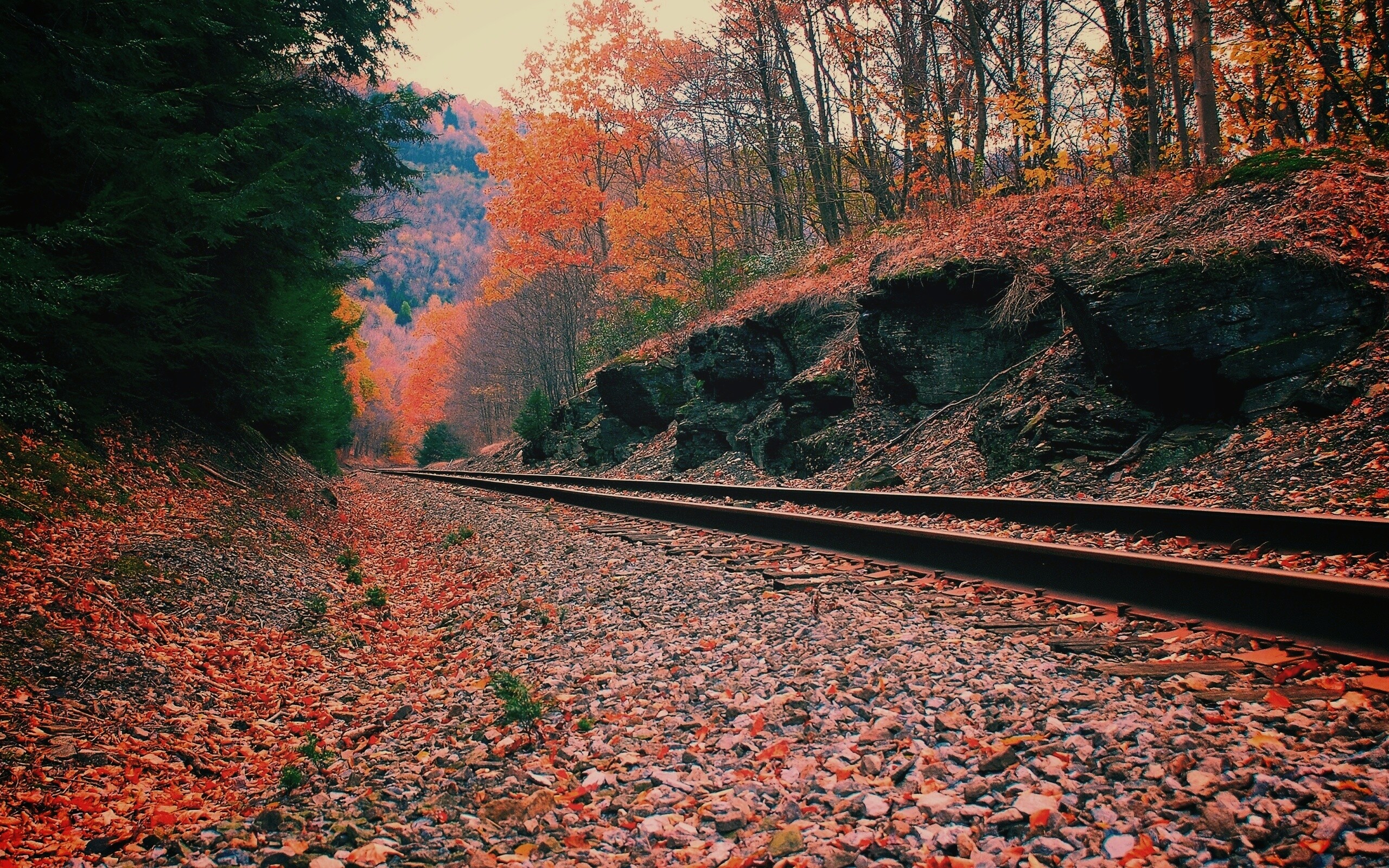 Железная дорога в скалистой местности обои