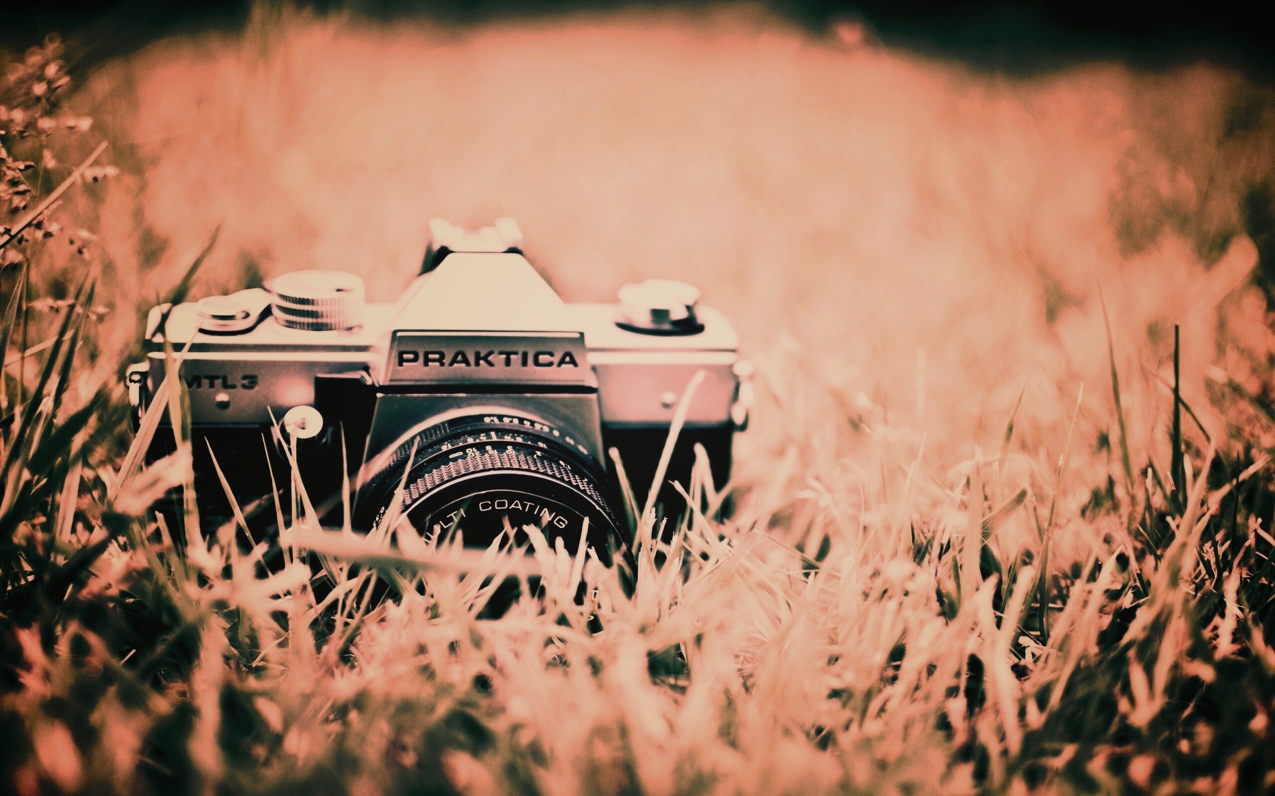 Фотоаппарат Praktica в траве обои