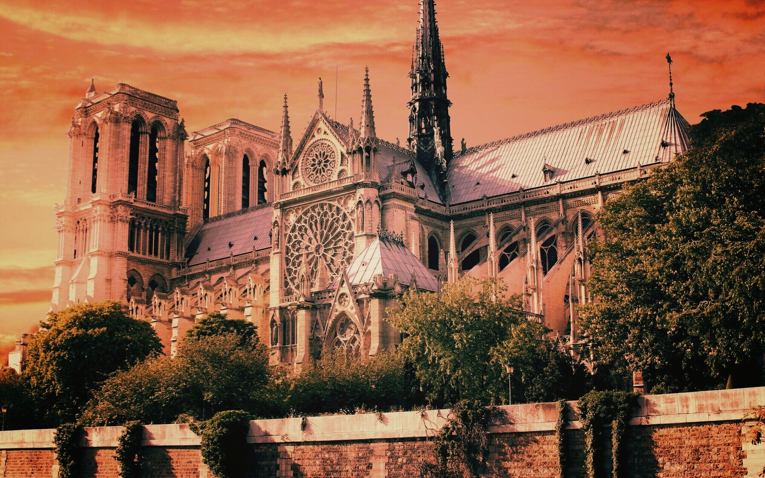 Собор парижской Богоматери обои