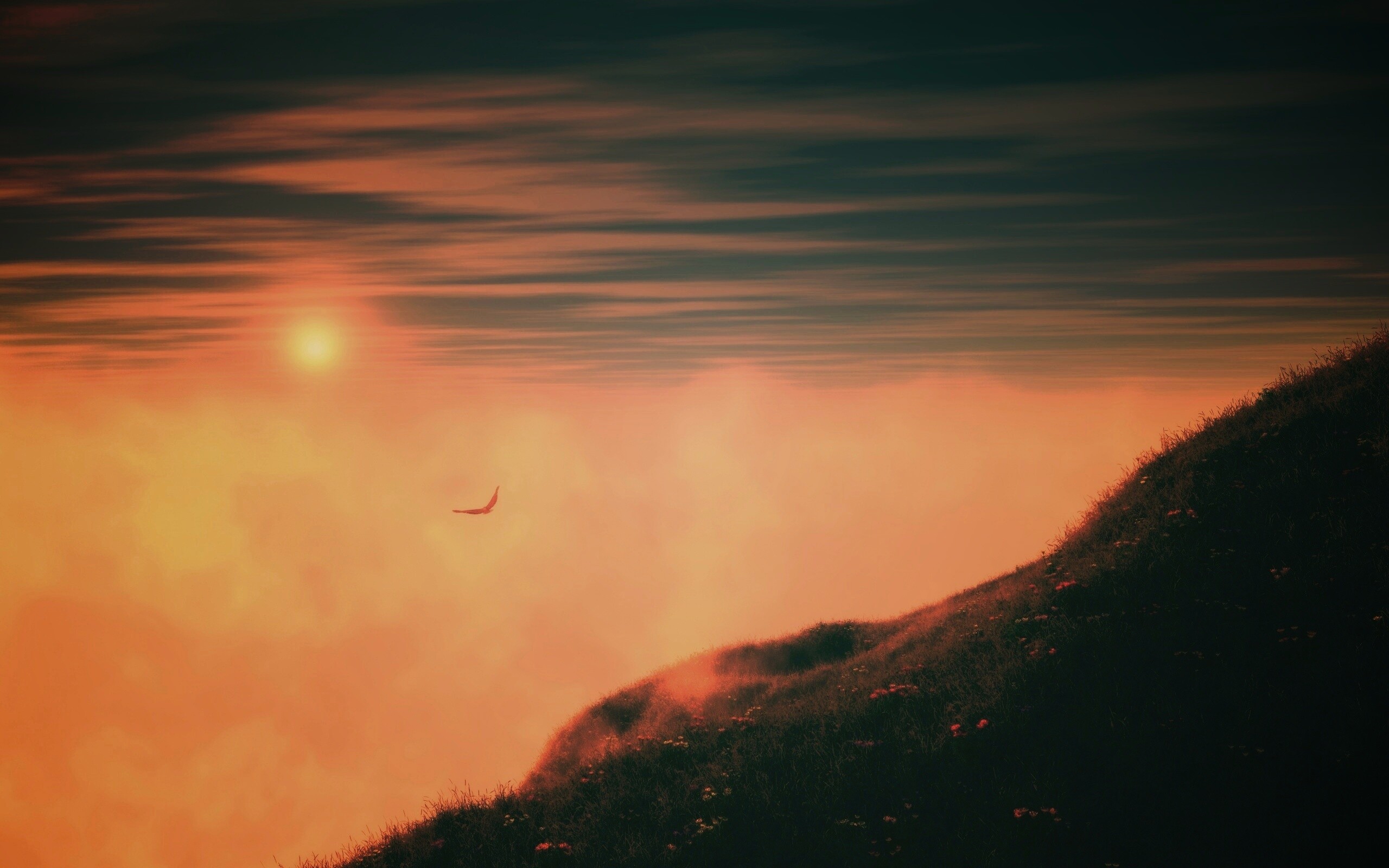 Птица парит над туманом обои