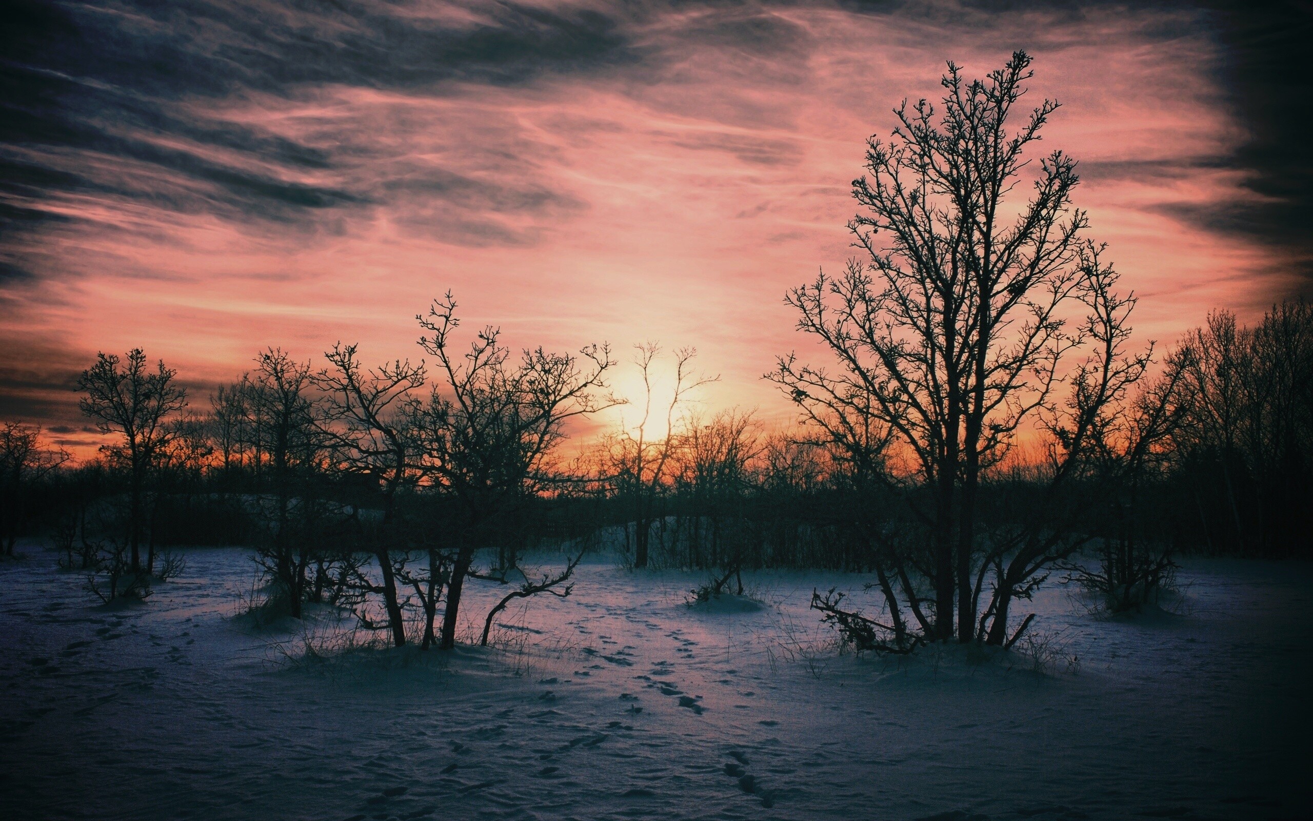Закат в зимнем лесу обои
