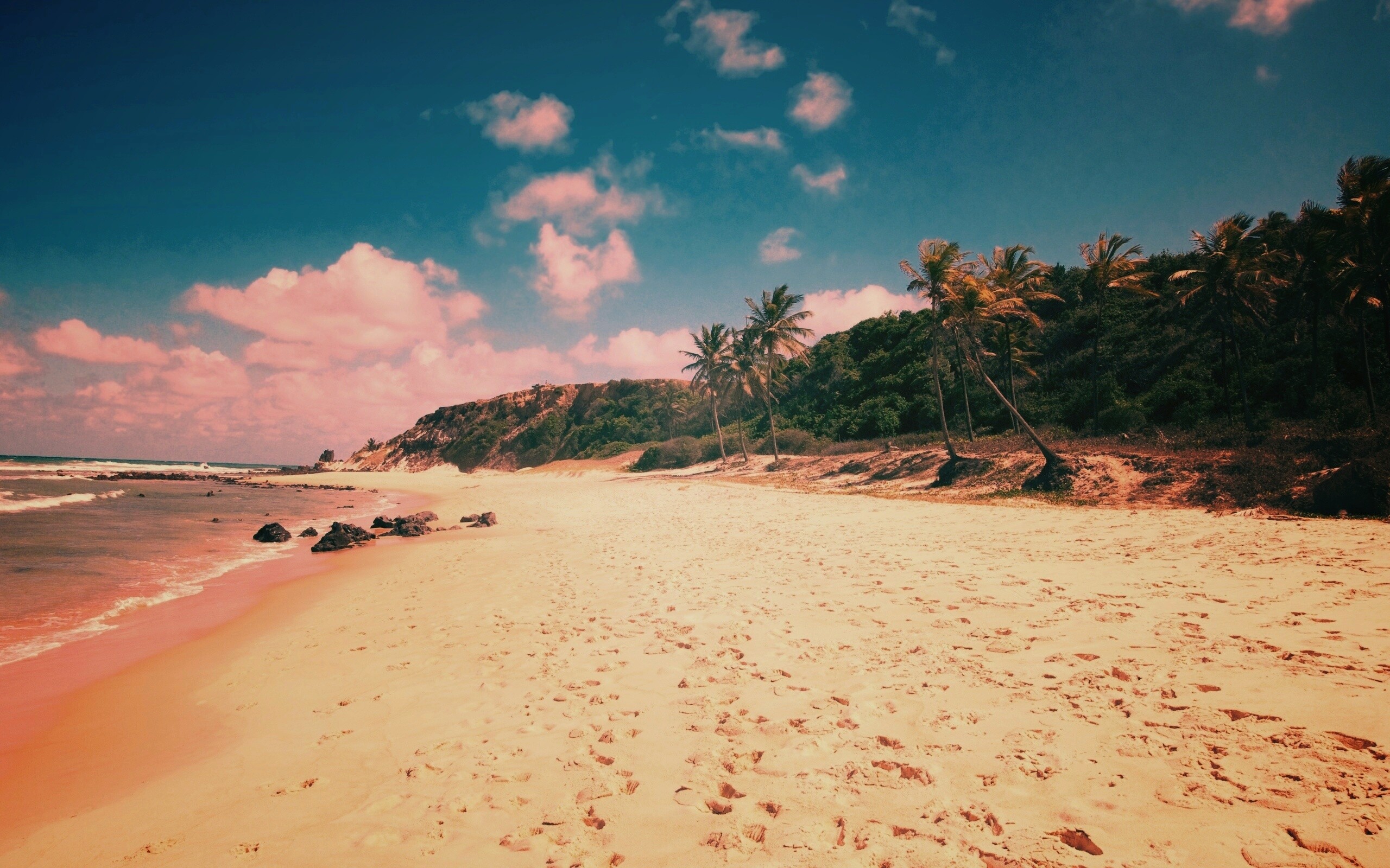 Туры в Бразилию в Лондрину обои