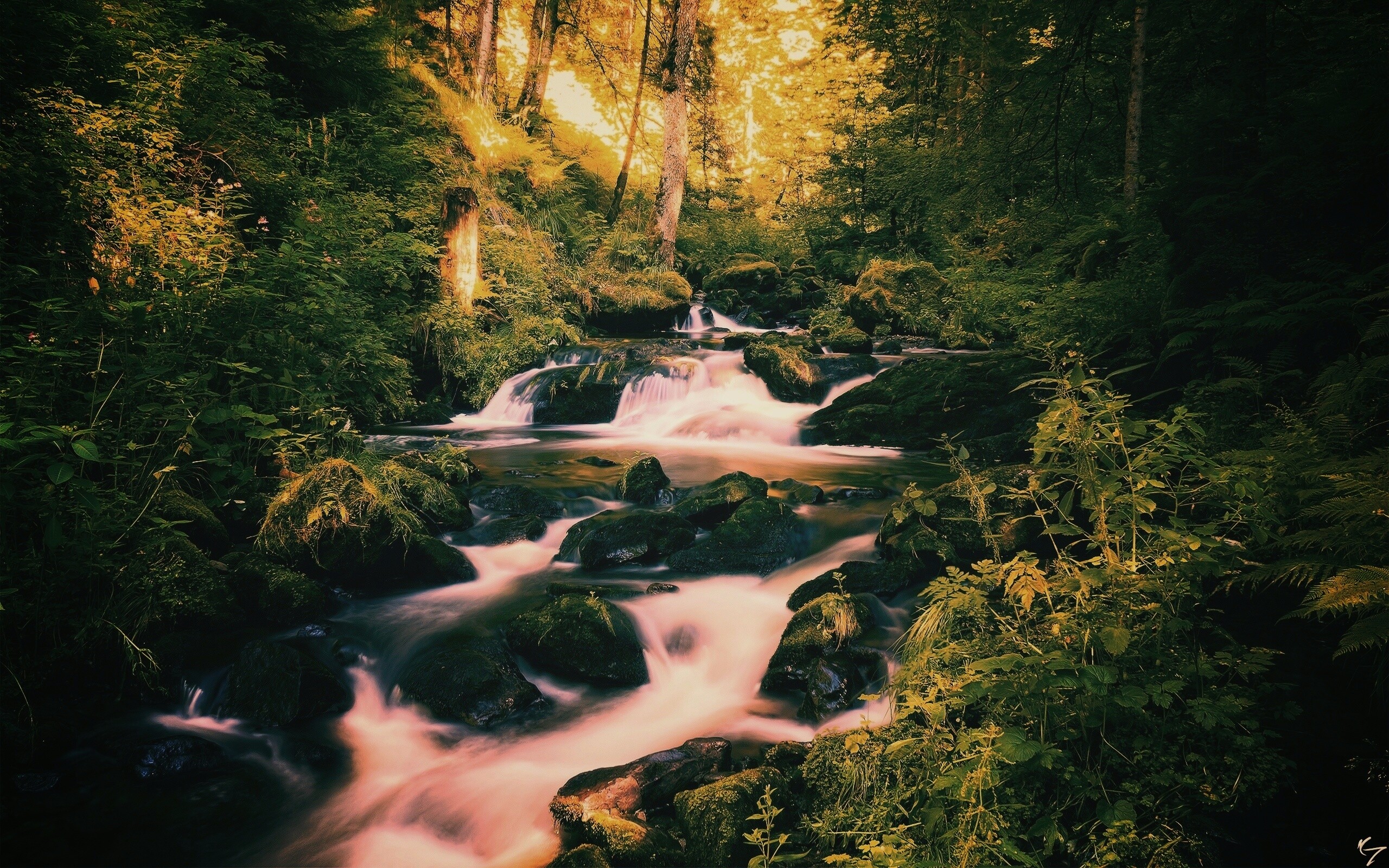 Живописный лесной водопад обои