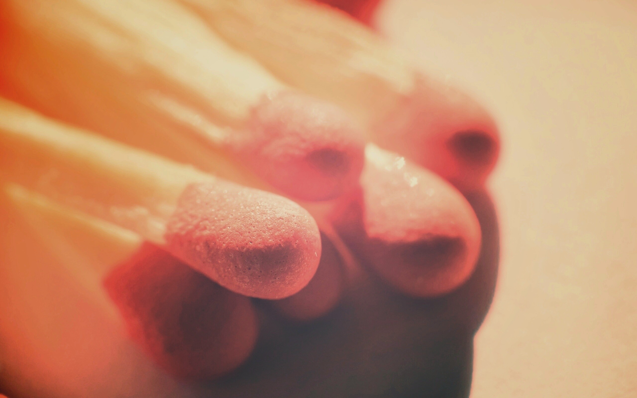 Спички в макро съемке обои