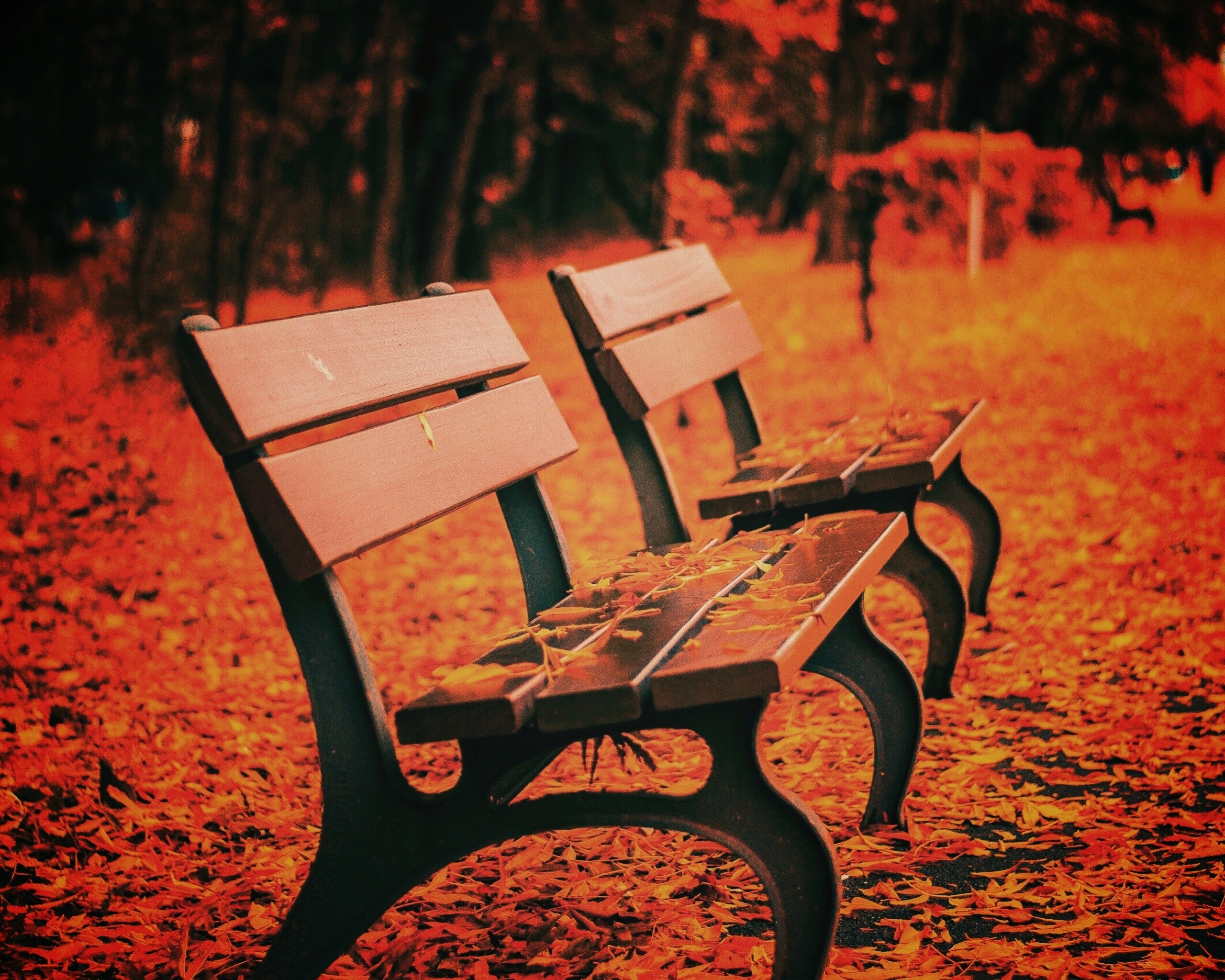 Лавочки в осеннем парке обои