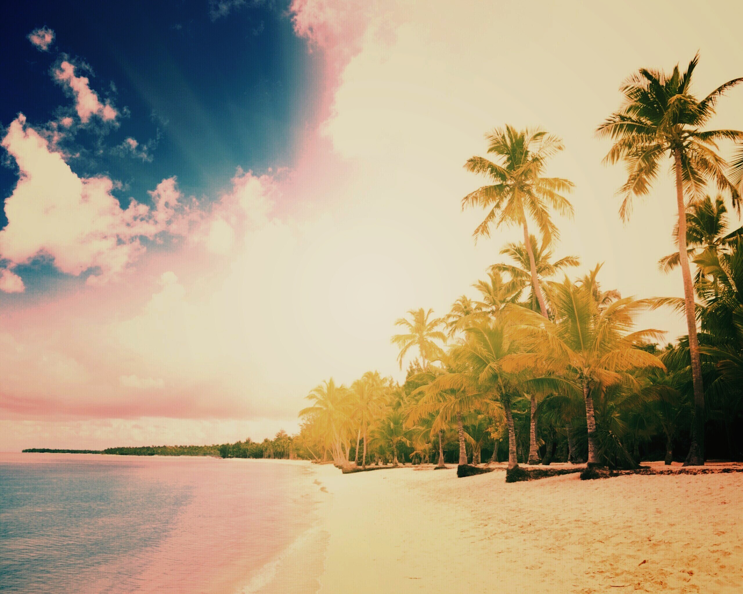 Тропическое побережье обои