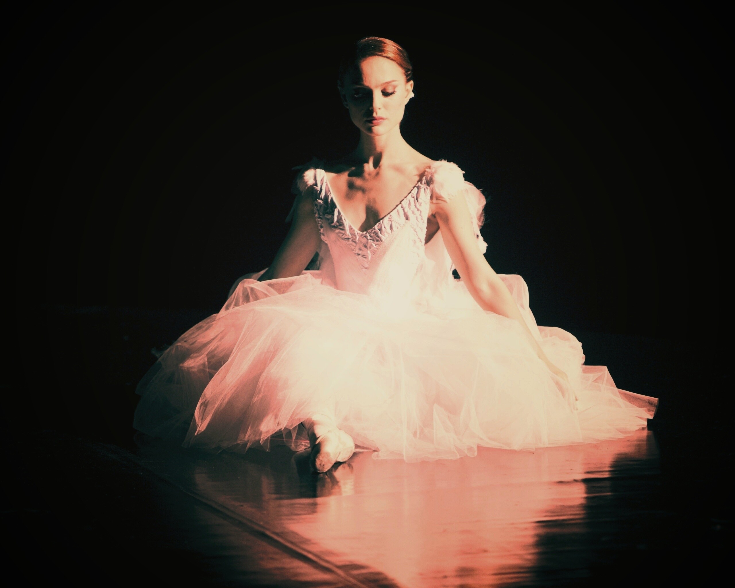 Черный лебедь обои