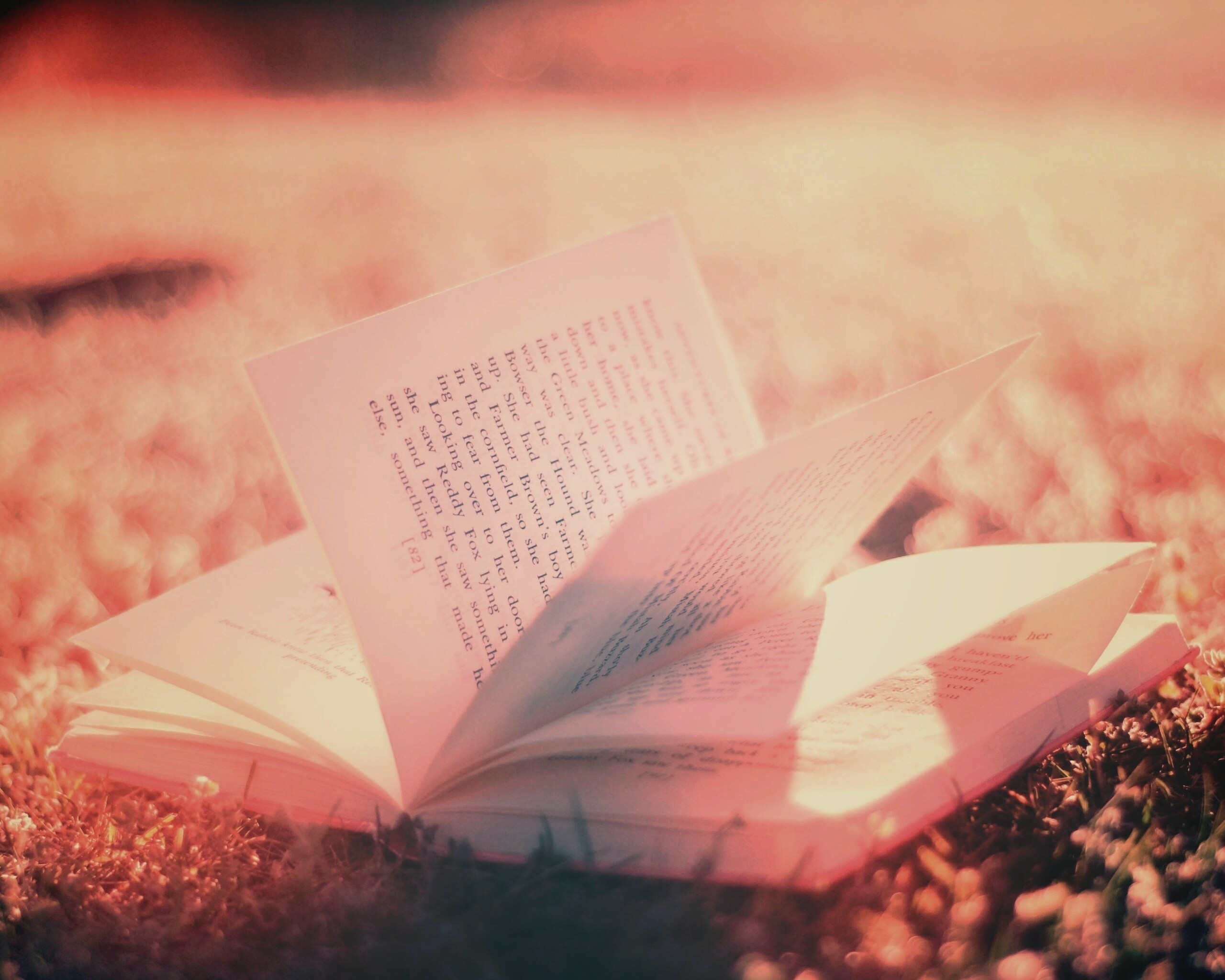 Книга в нежном свете обои