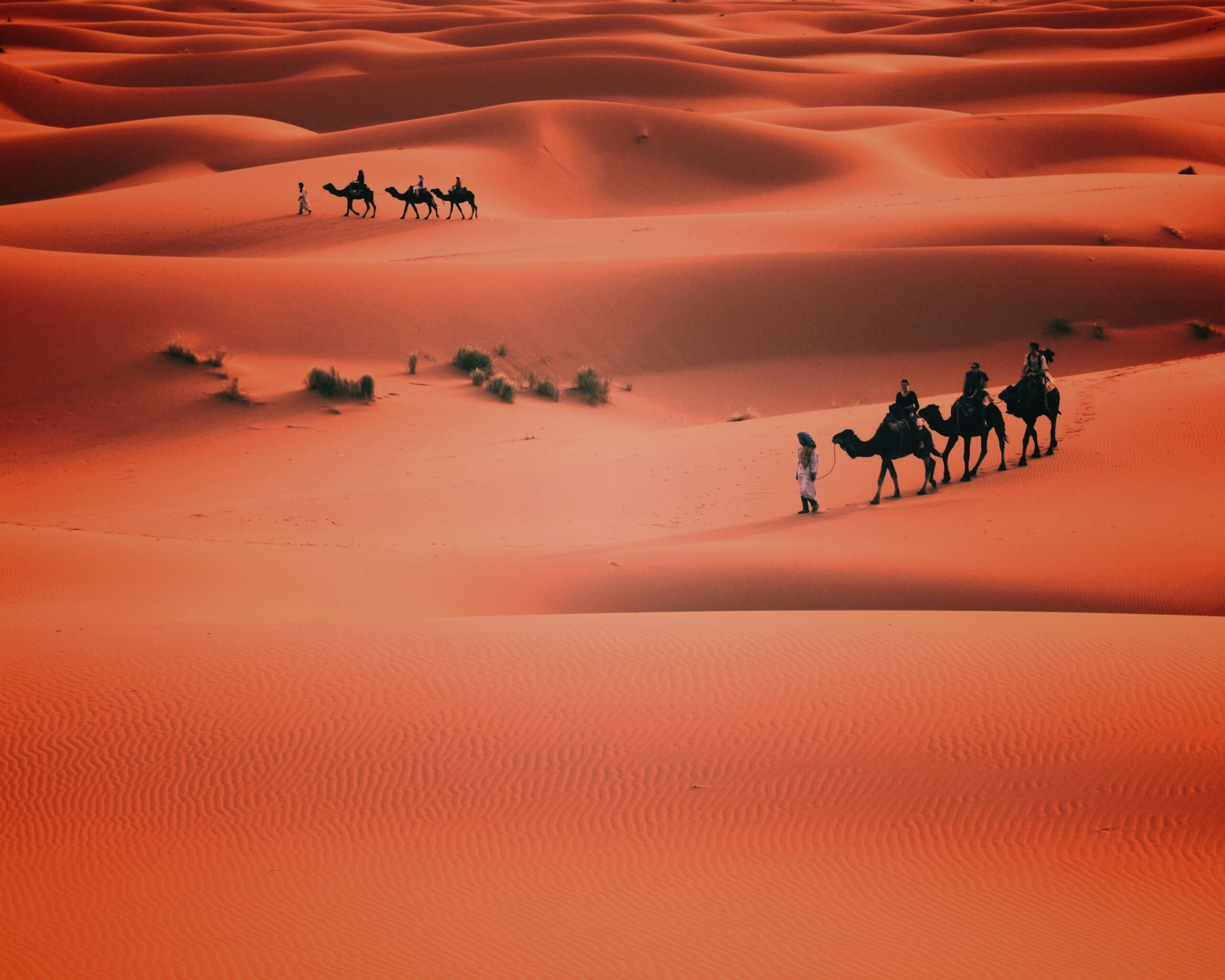 Караваны пустыни обои