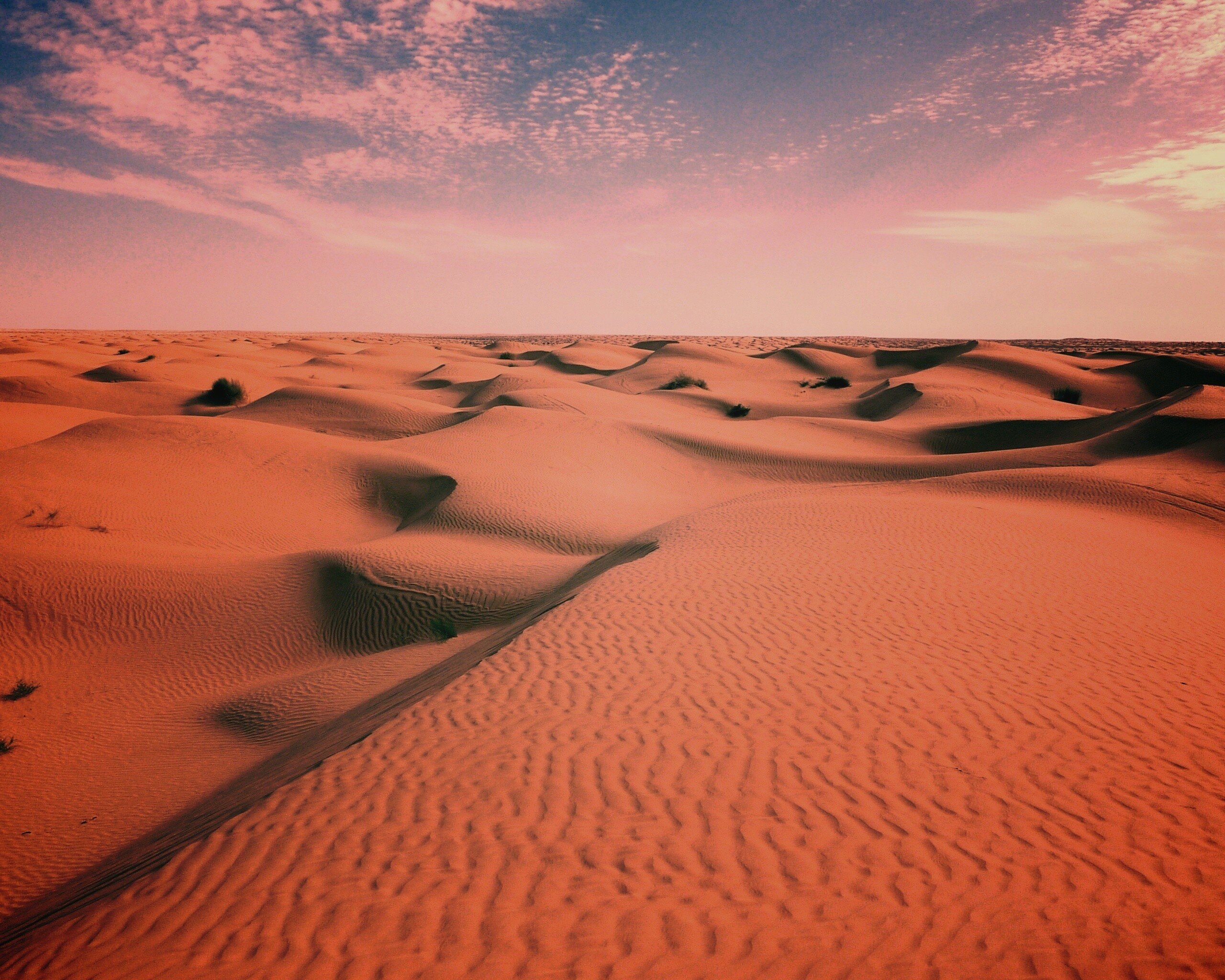 Пустыня до самого горизонта обои