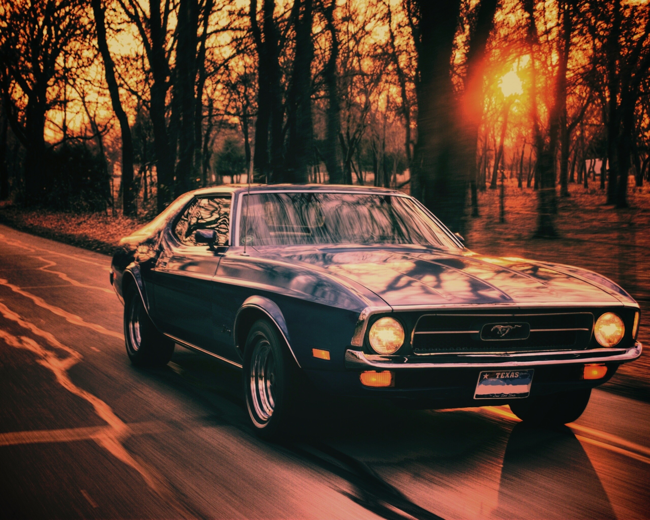 Мустанг обои