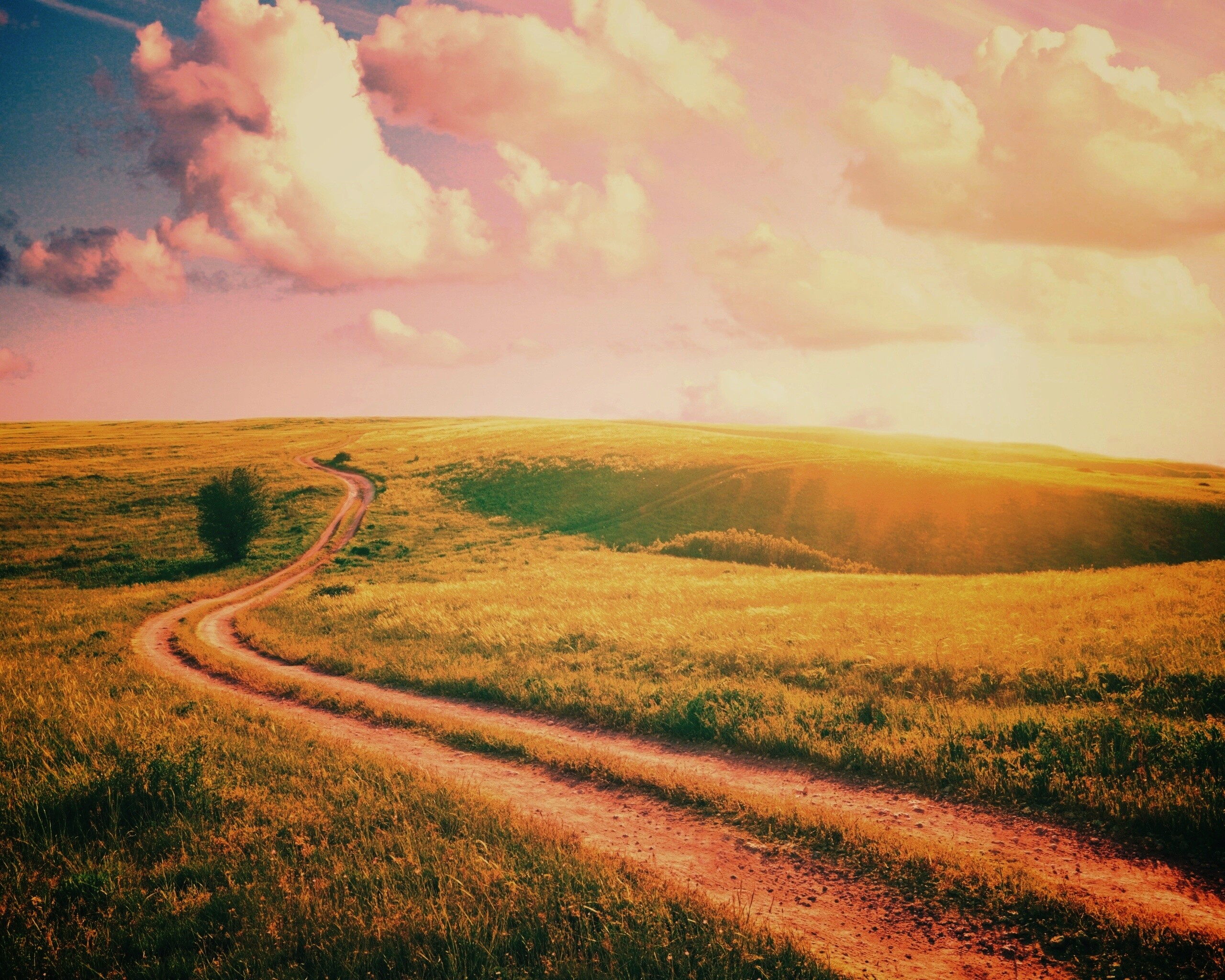 Дорога через луг обои