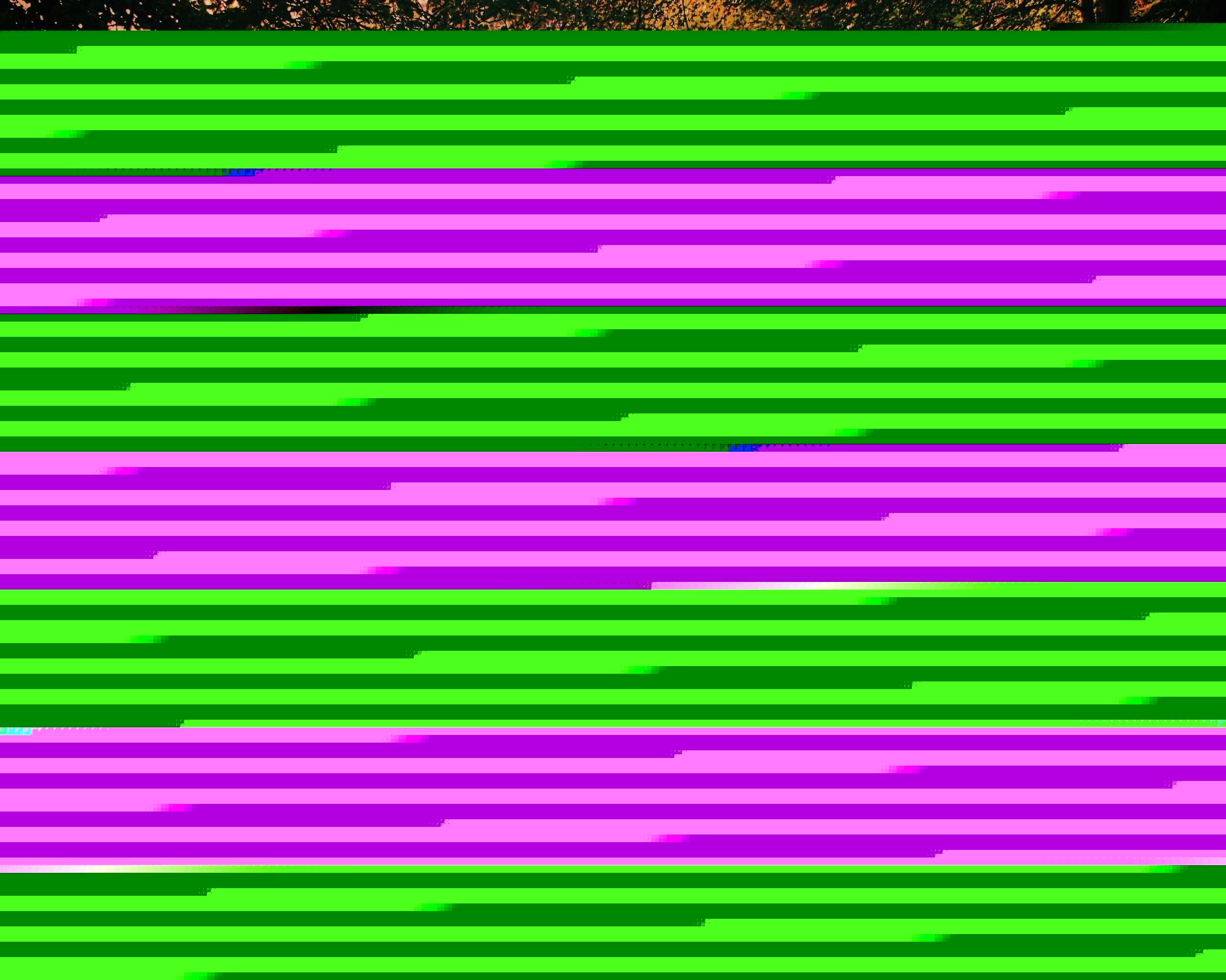 Скамейка в лесу обои