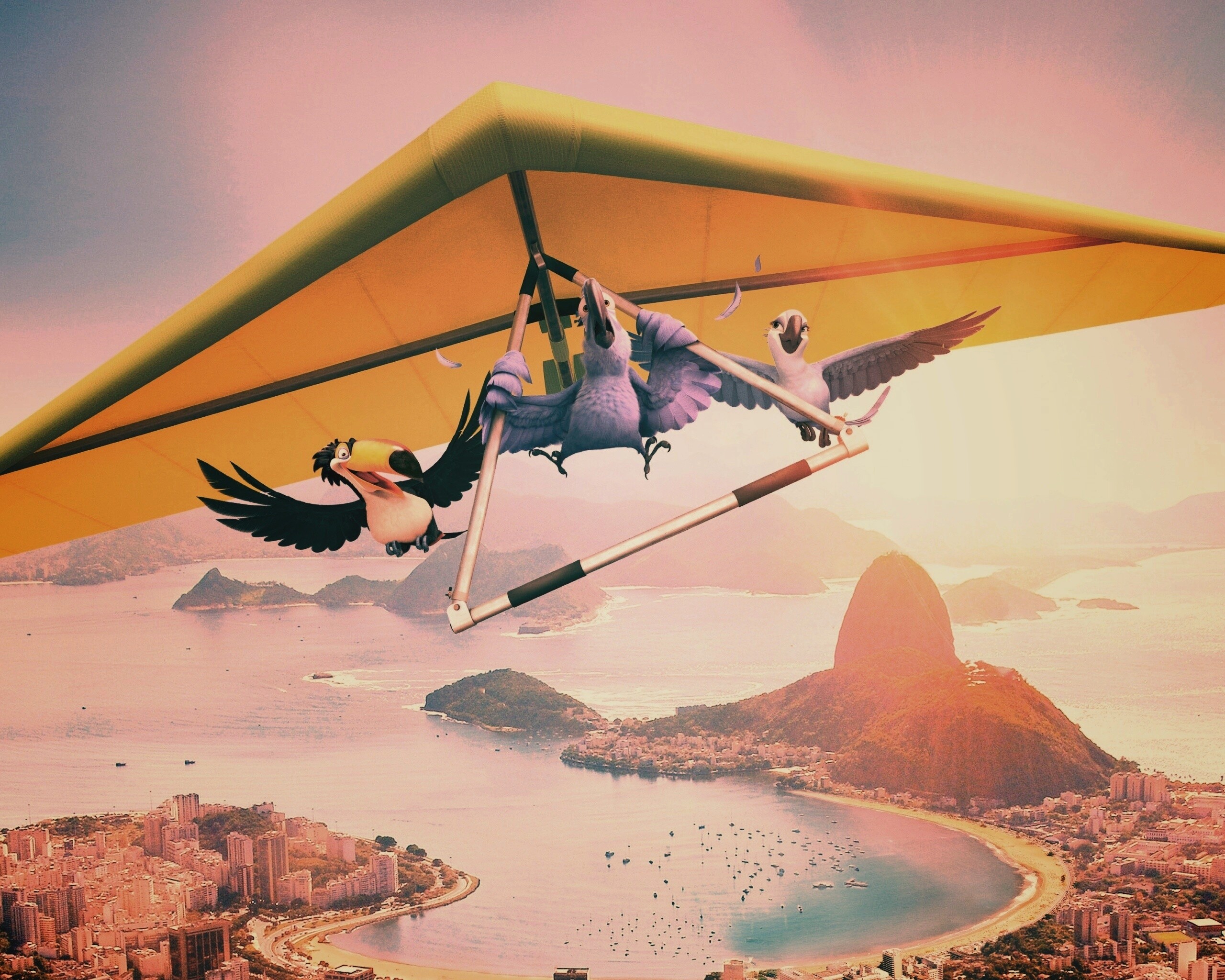 Герои мультфильма Рио обои