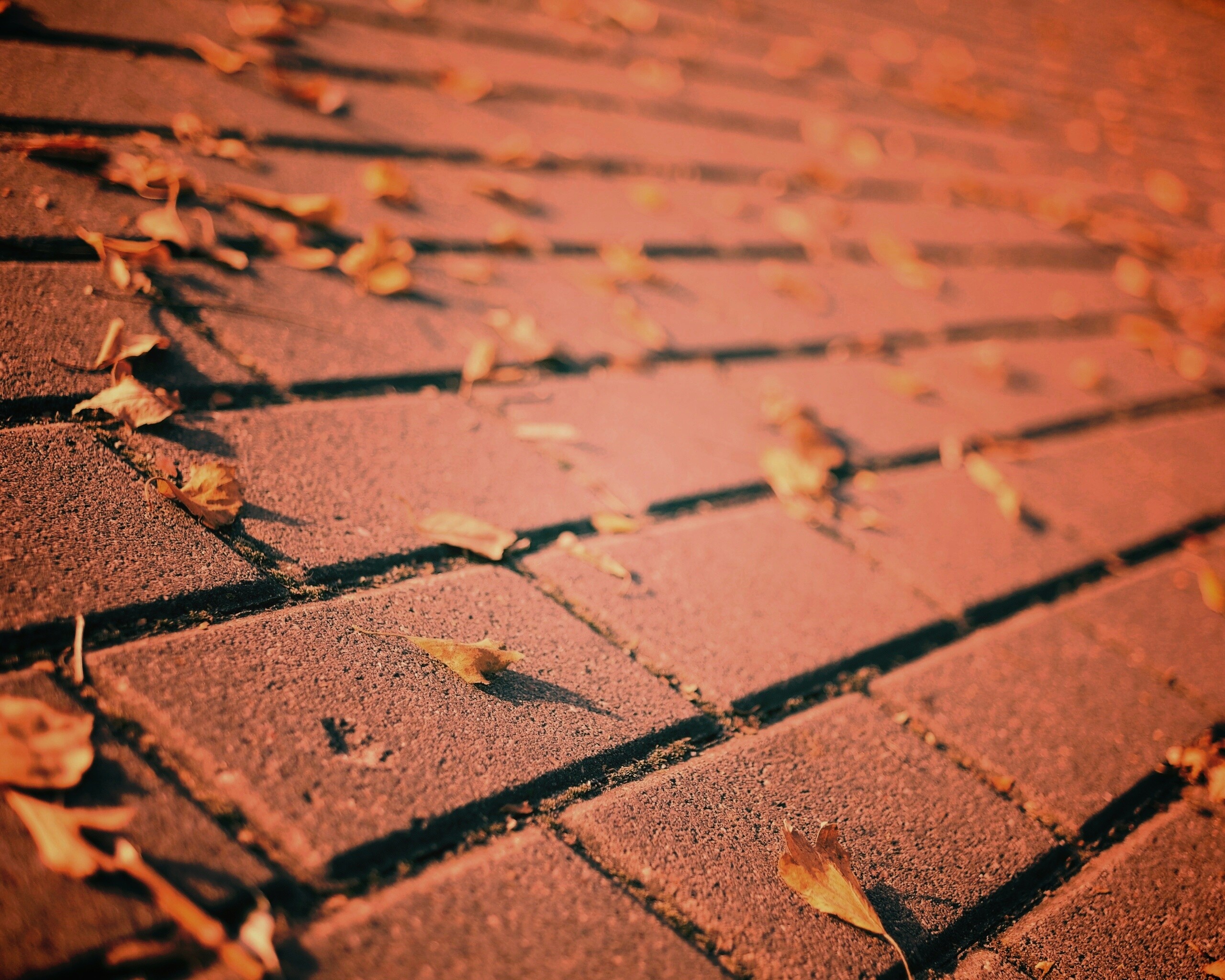 Тротуар обои