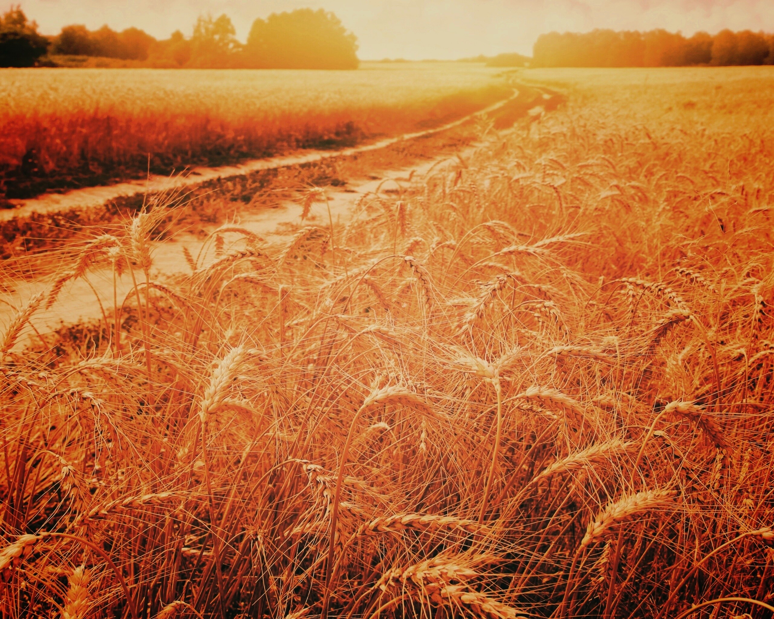 Речка среди поля обои