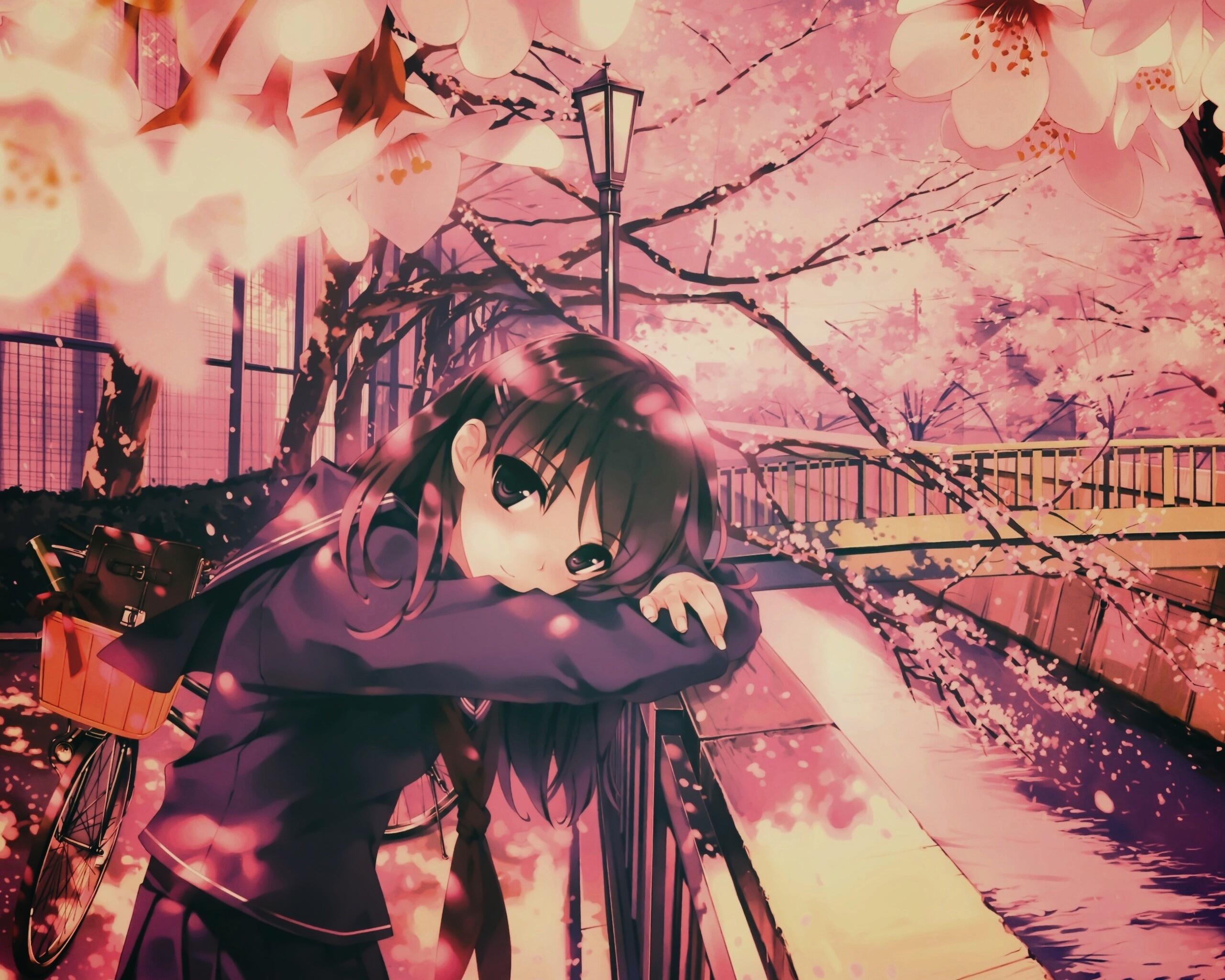 Девушка среди лепестков сакуры обои