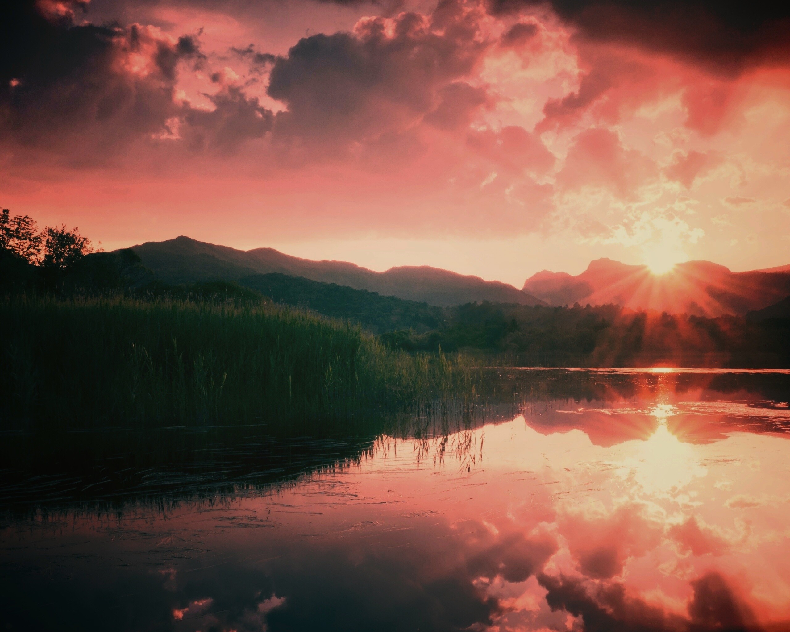 Закат за лесом обои