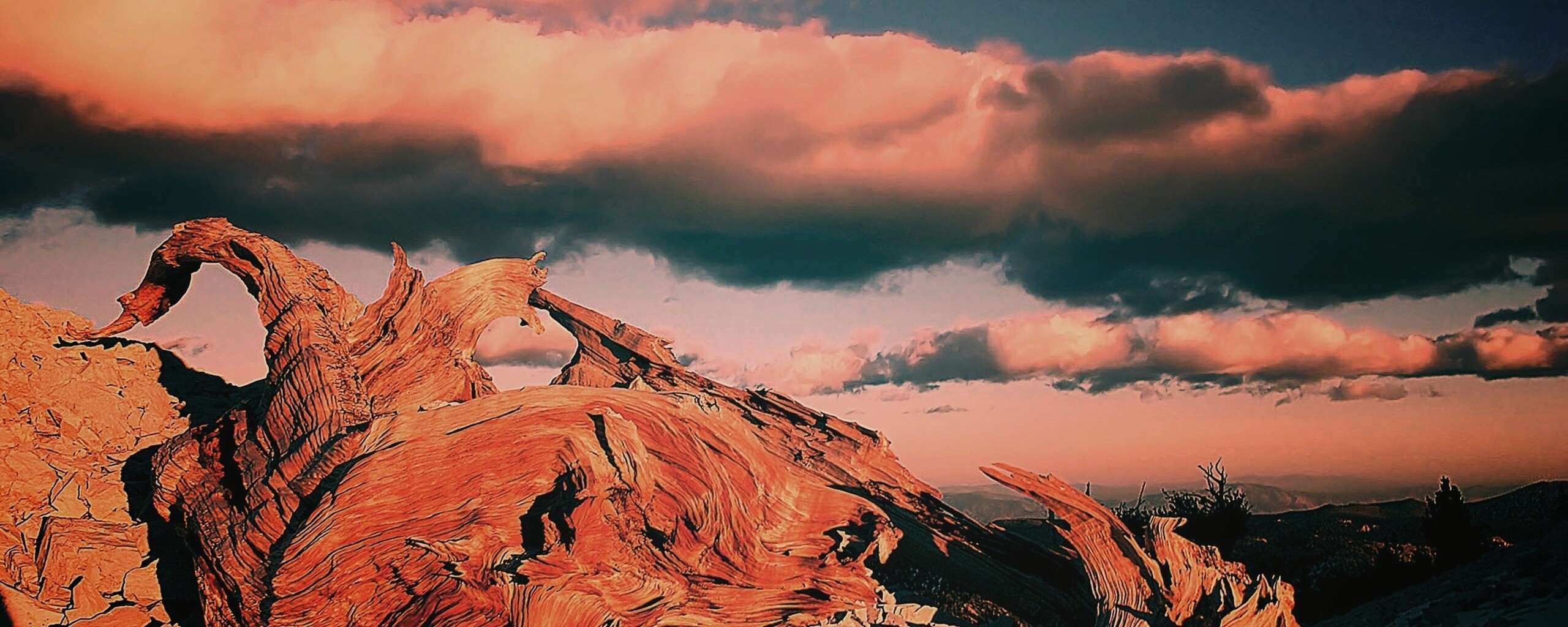 Прелести природы обои