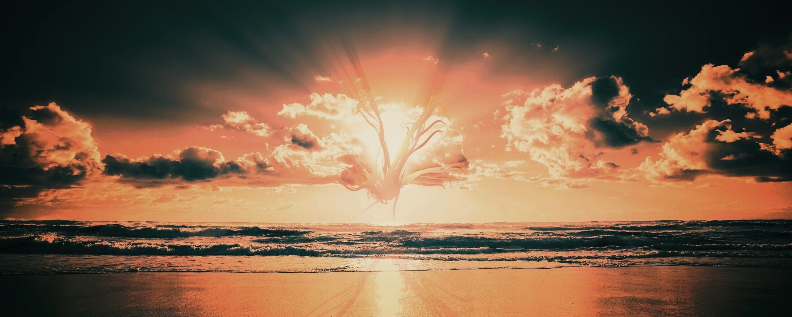 Абстрактные перья на фоне заката обои