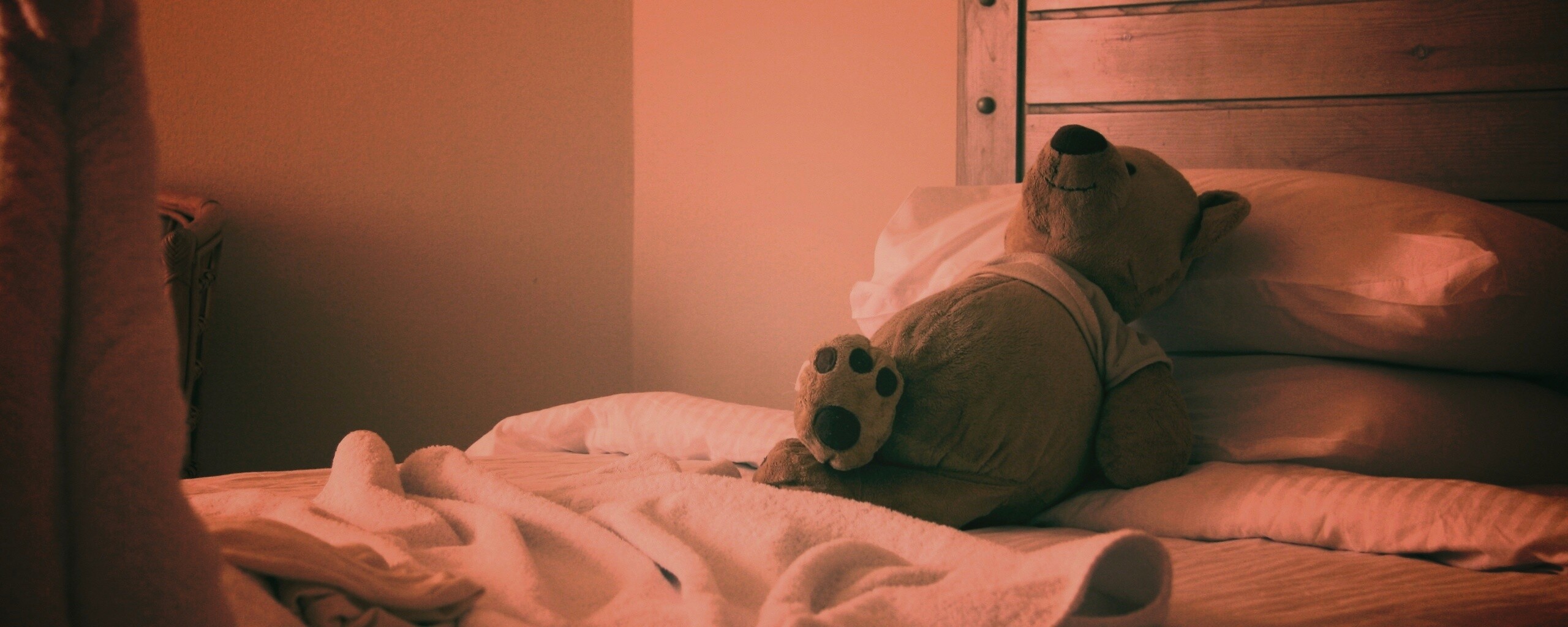 Медвежонок в постели обои