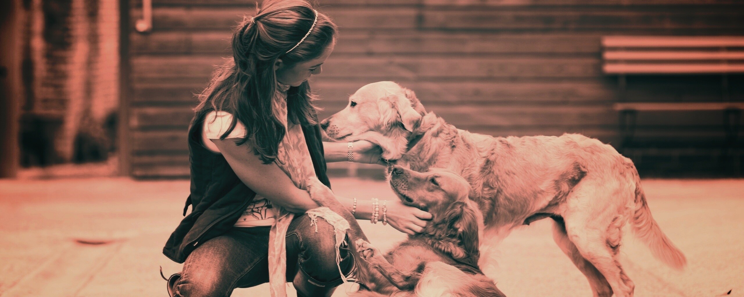 Девушка с собаками обои