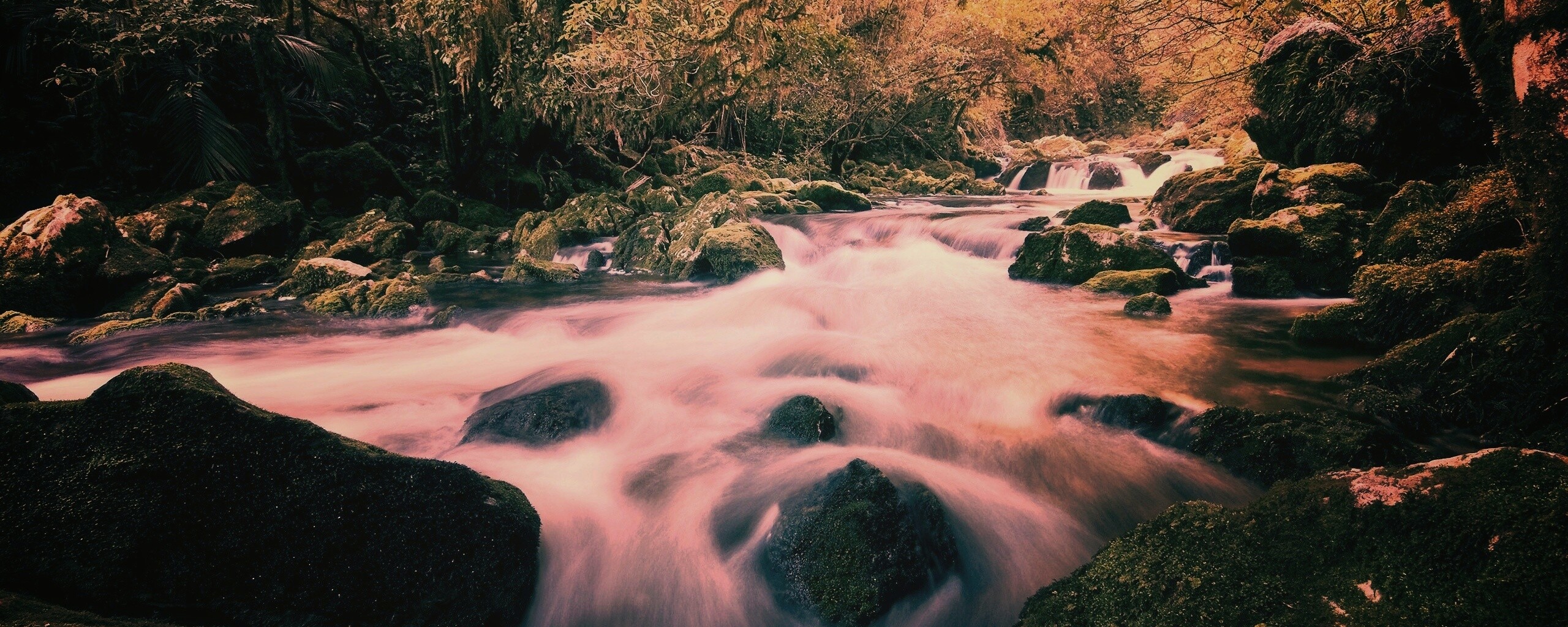 Лесной руче обои