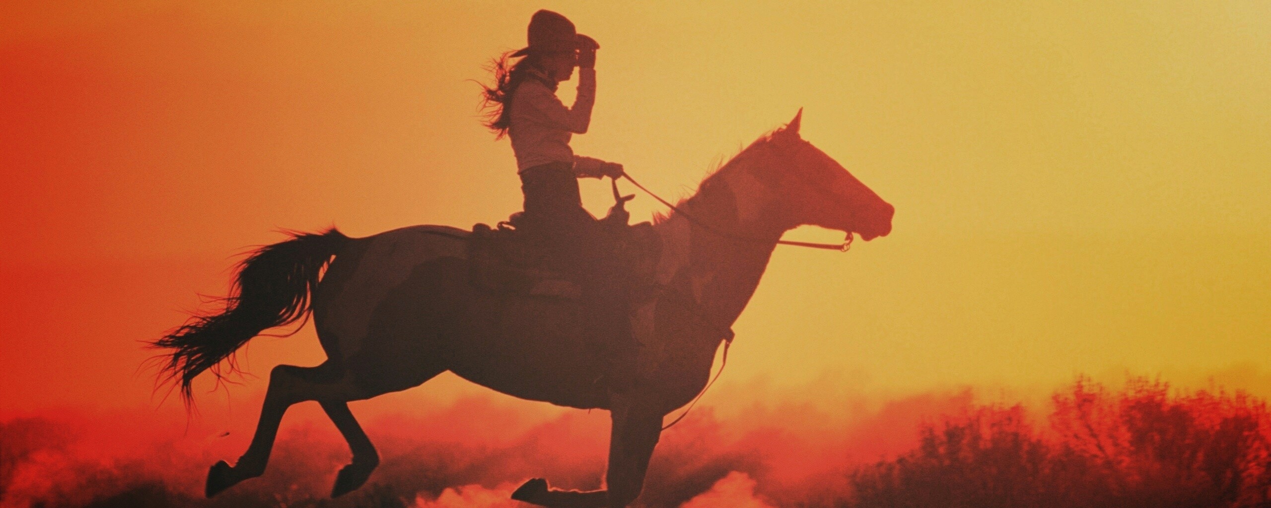 Наездница на закате обои