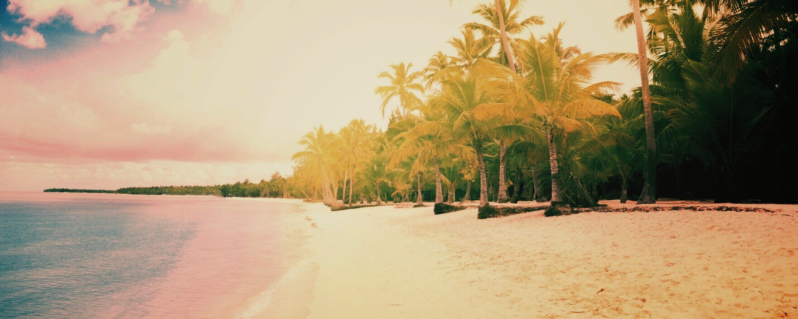 Тропическое побережье обои