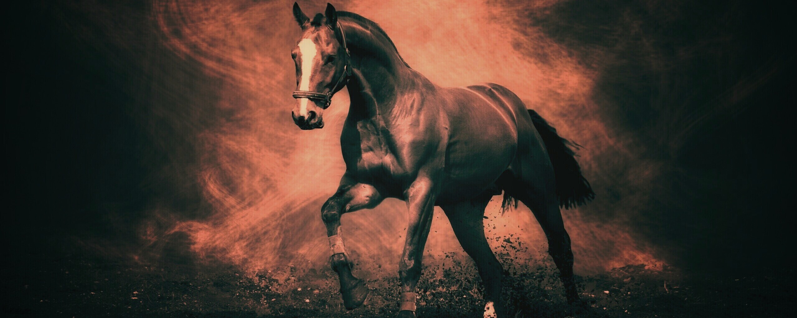 Лошадь обои