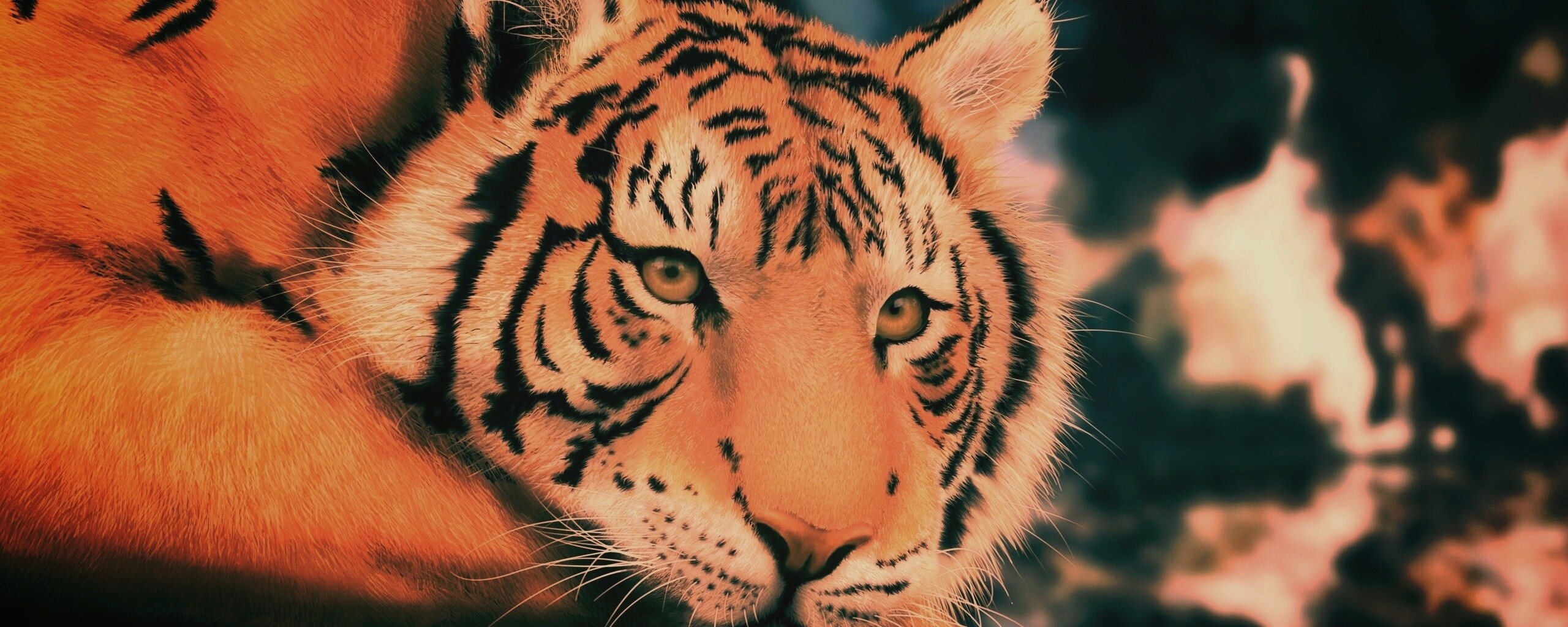 Грустный тигра обои