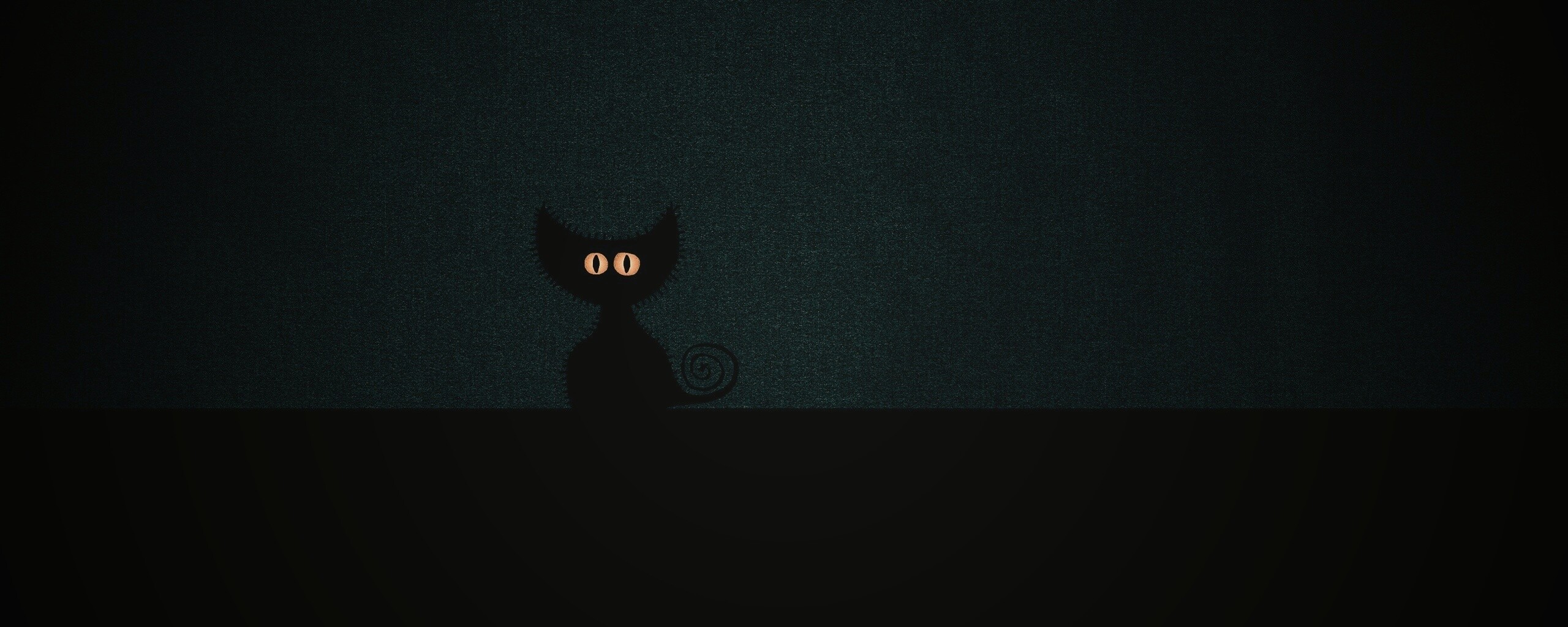 Чёрный кот в ночи обои