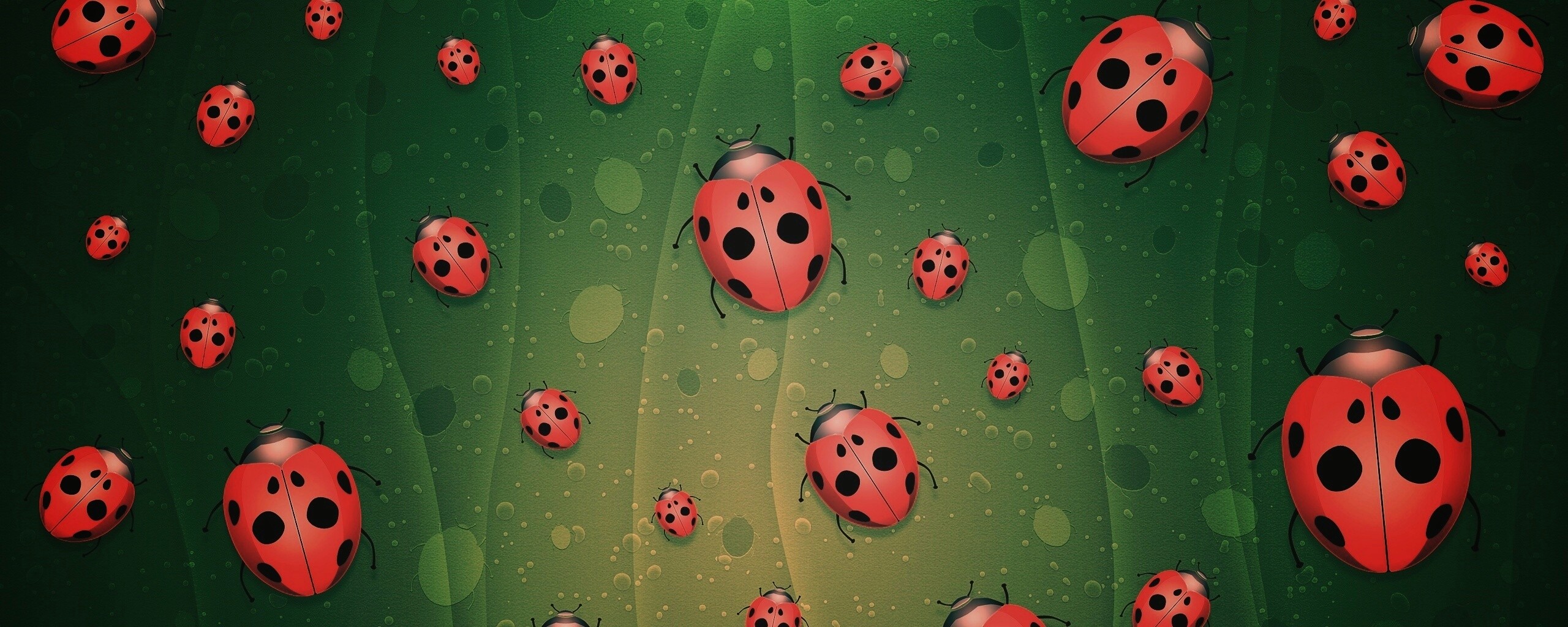 Божьи коровки обои