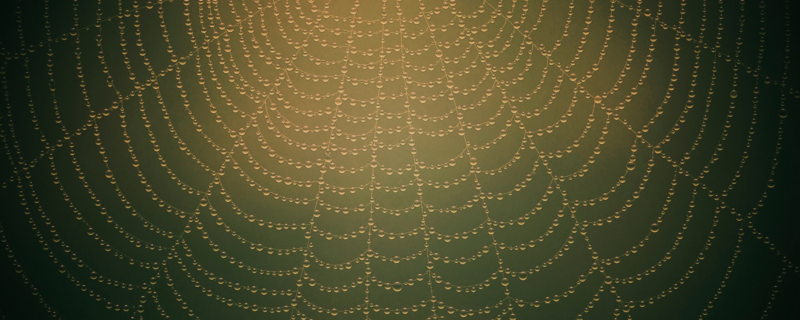 Роса на паутине обои