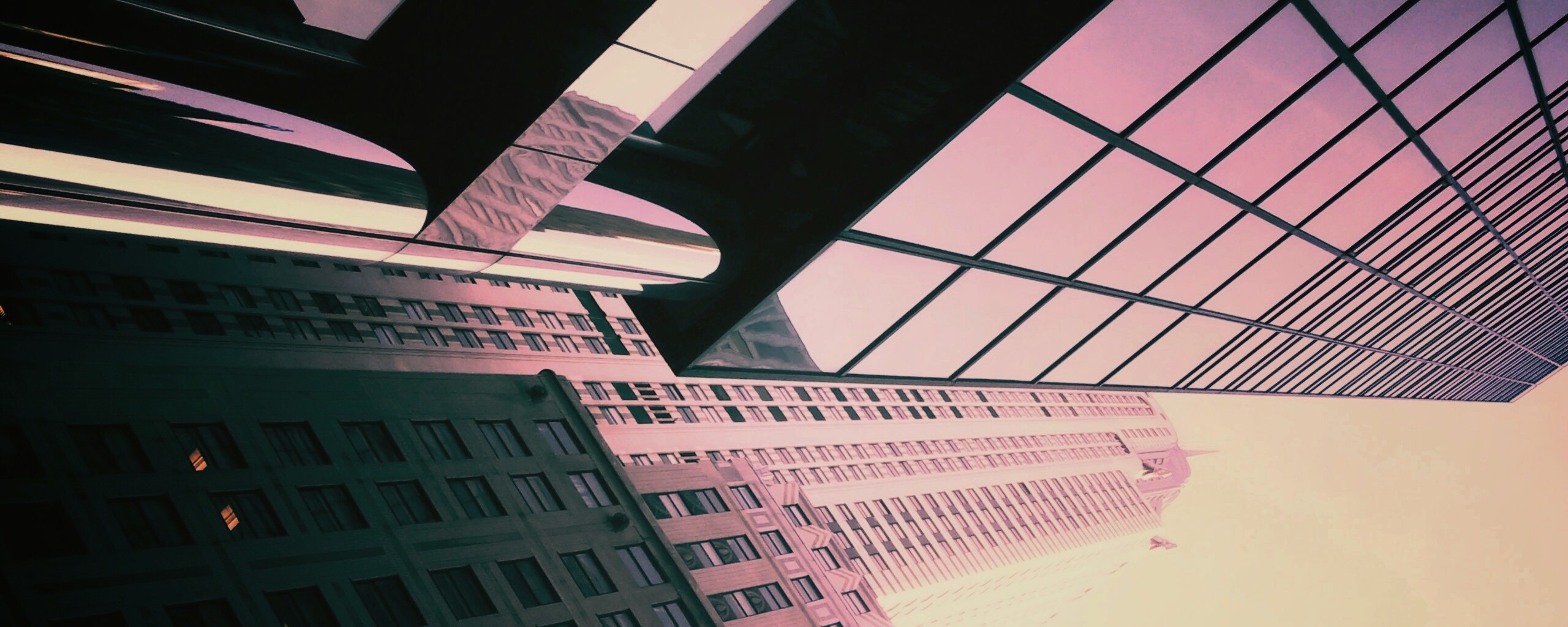 Взгляд вверх обои