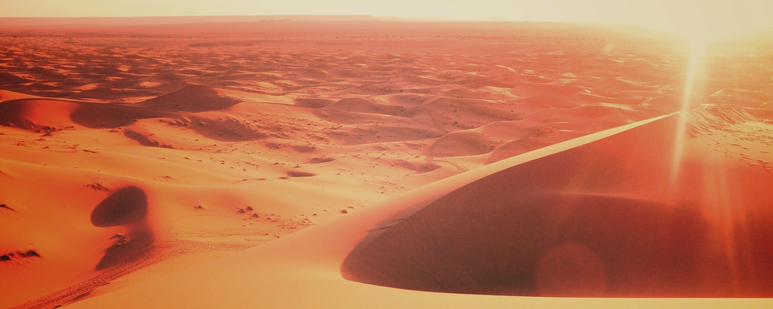 Солнечная пустыня обои