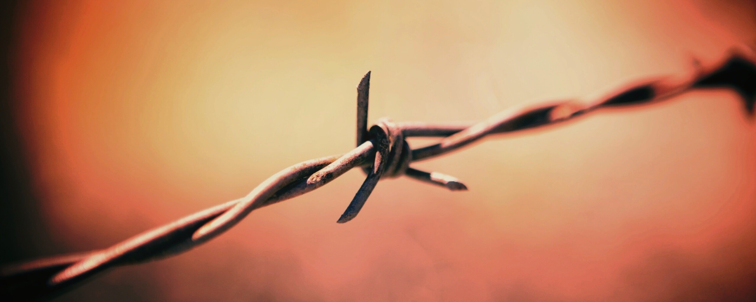 Фото колючей проволоки обои