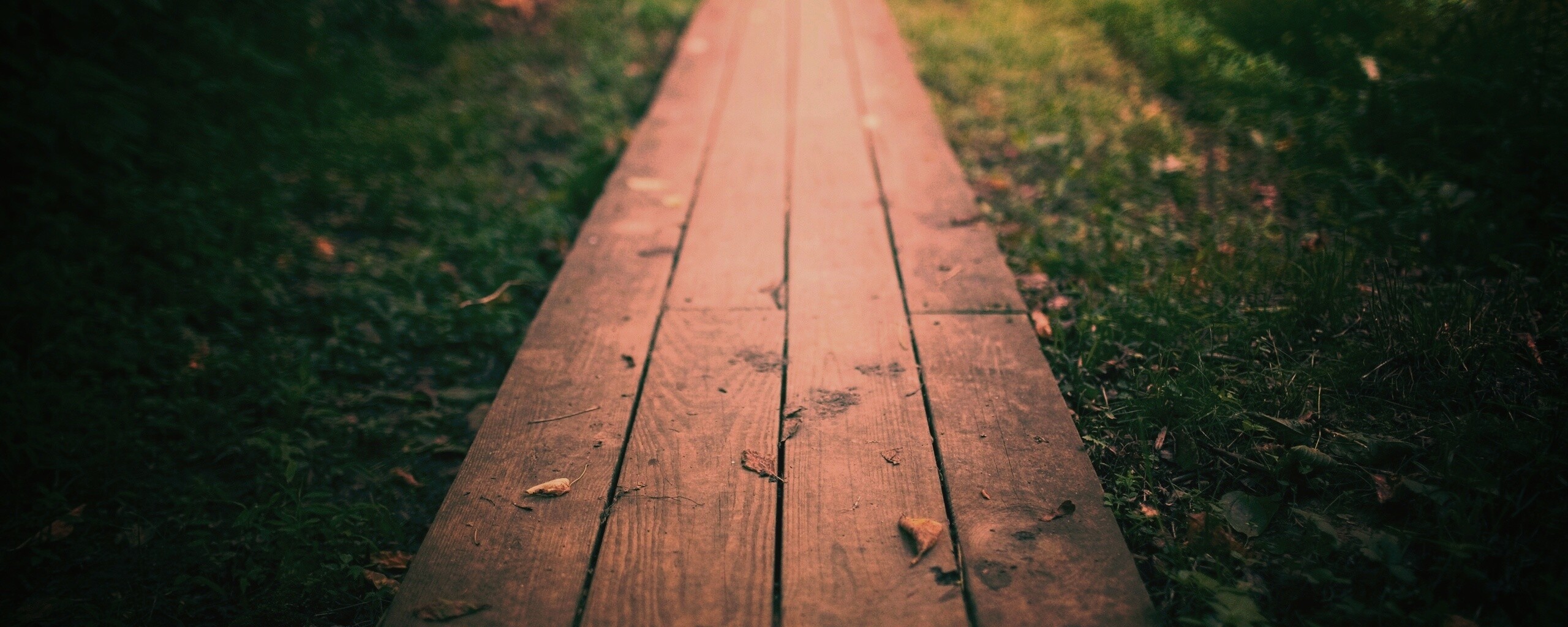 Деревянная тропинка обои