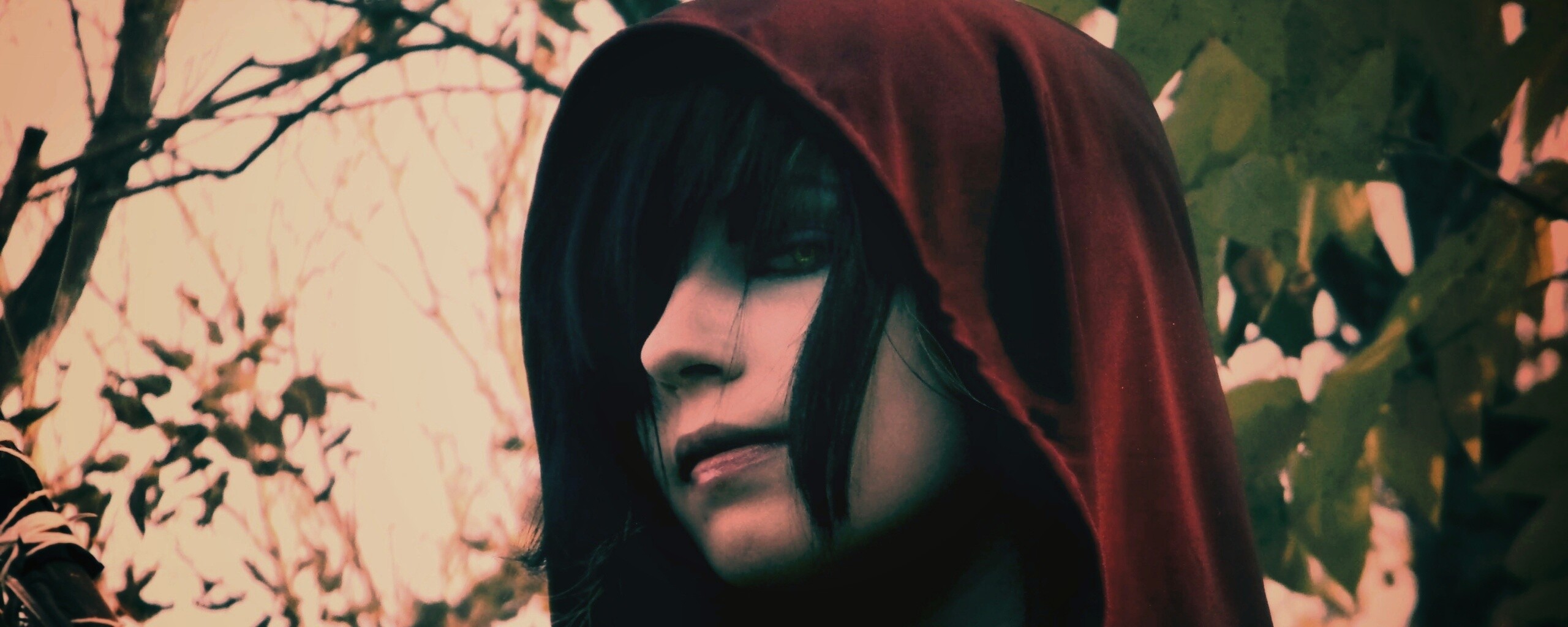 Косплей Морриган обои