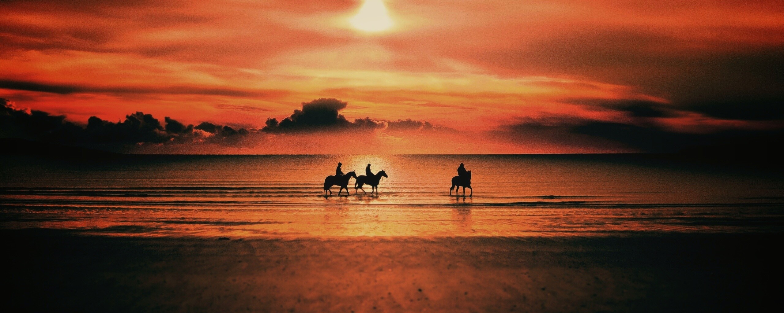 Наездники на закате обои