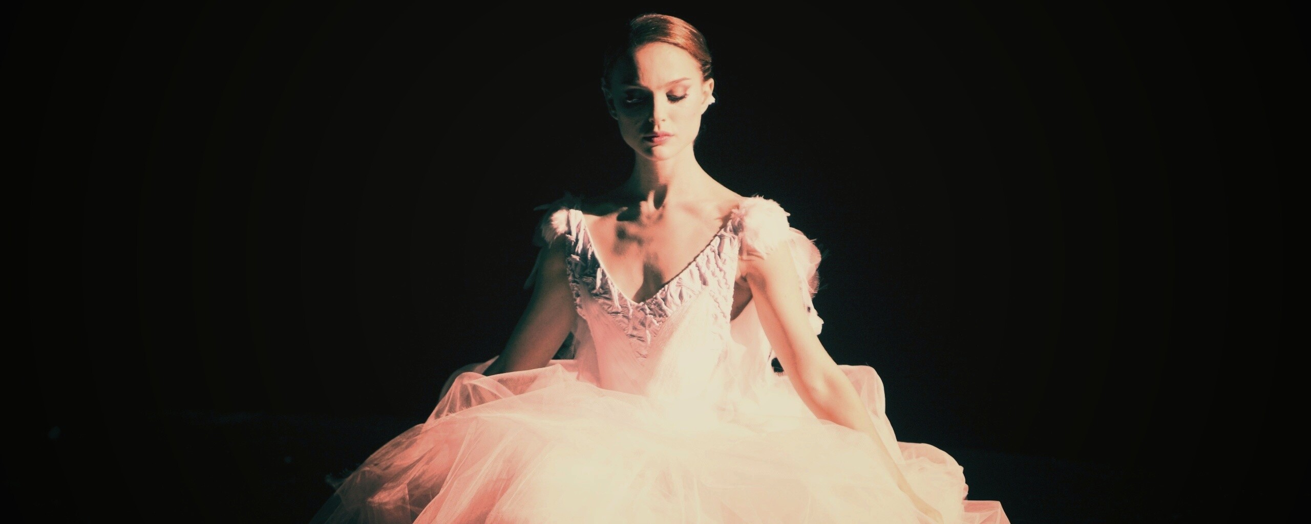 Черный лебедь обои