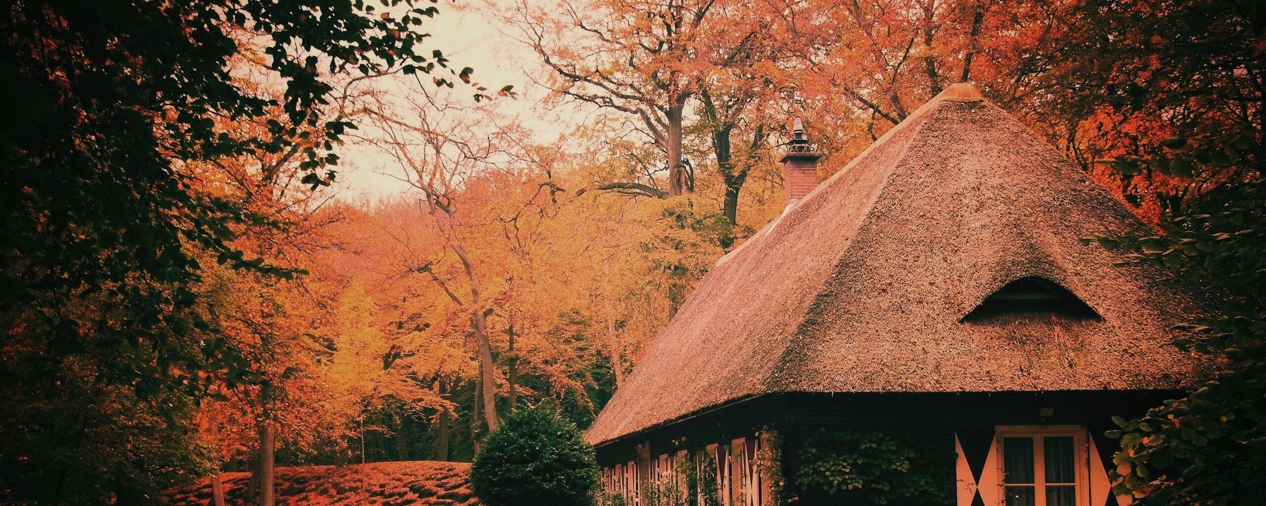 Домик в осеннем лесу обои