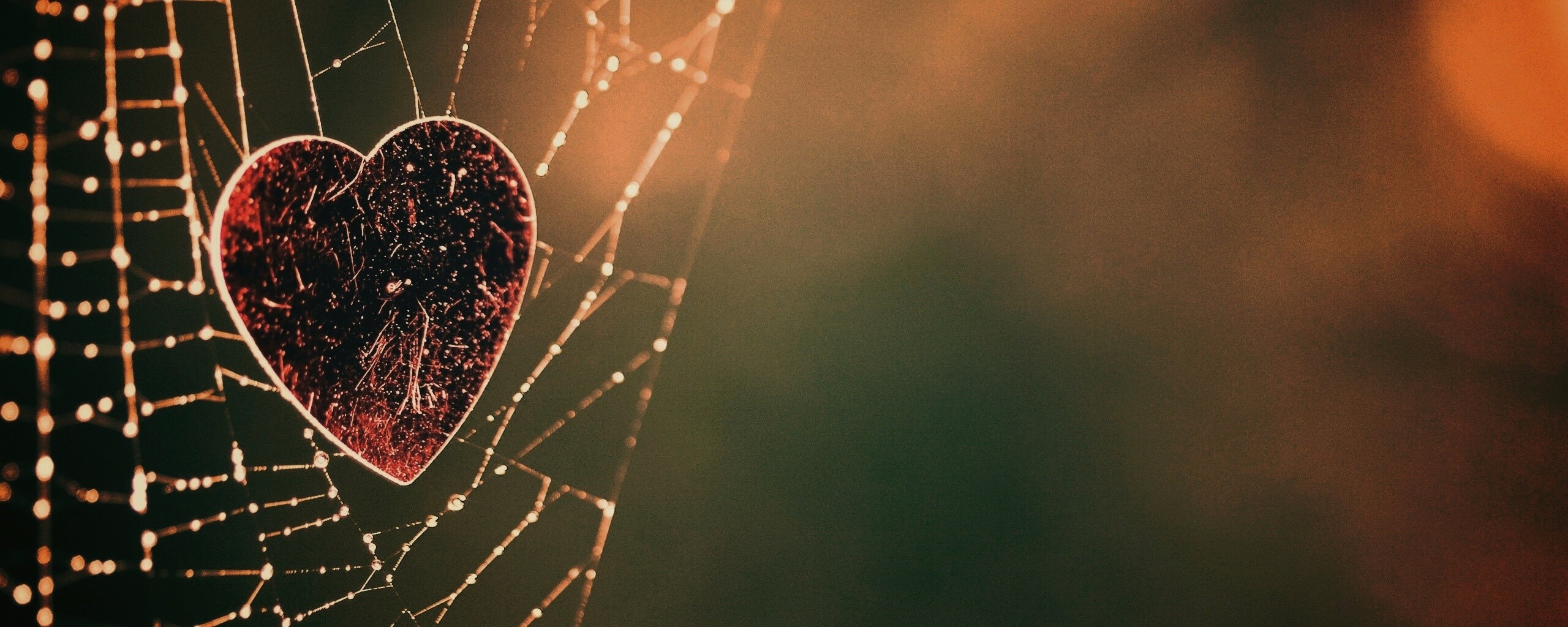 Запутавшаяся любовь.. обои