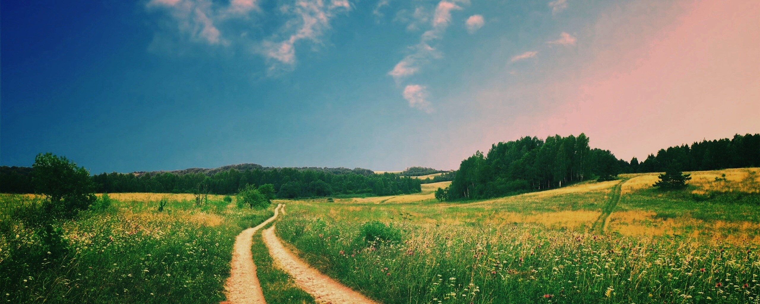 Дорога через луг обои