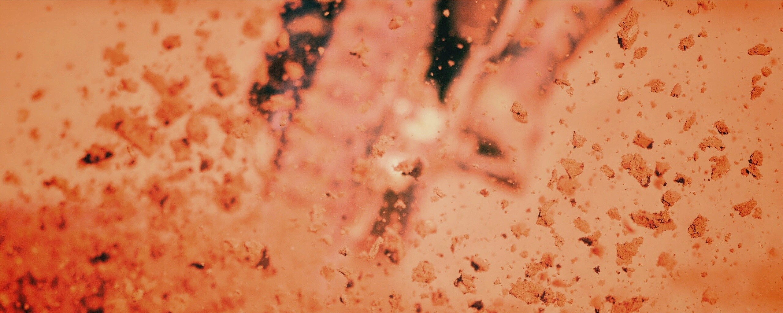 Моткросс обои