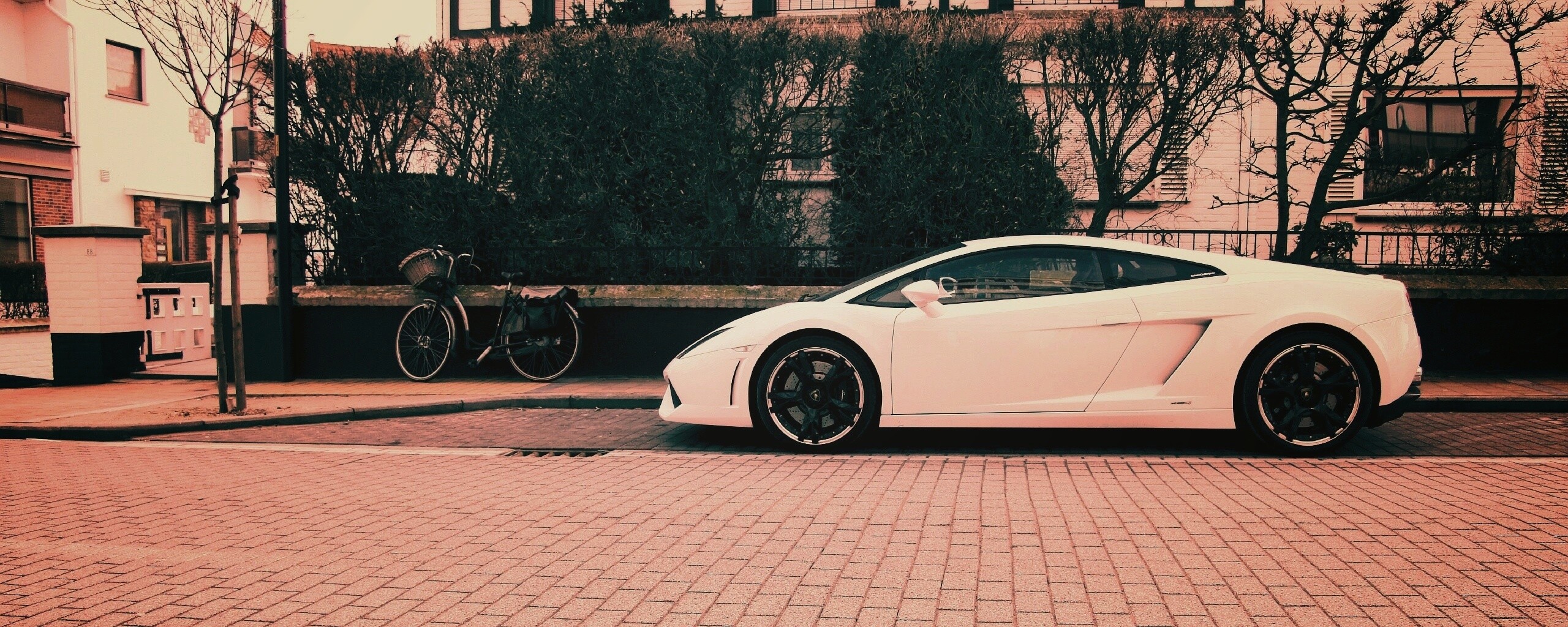 Белый Lamborghini обои
