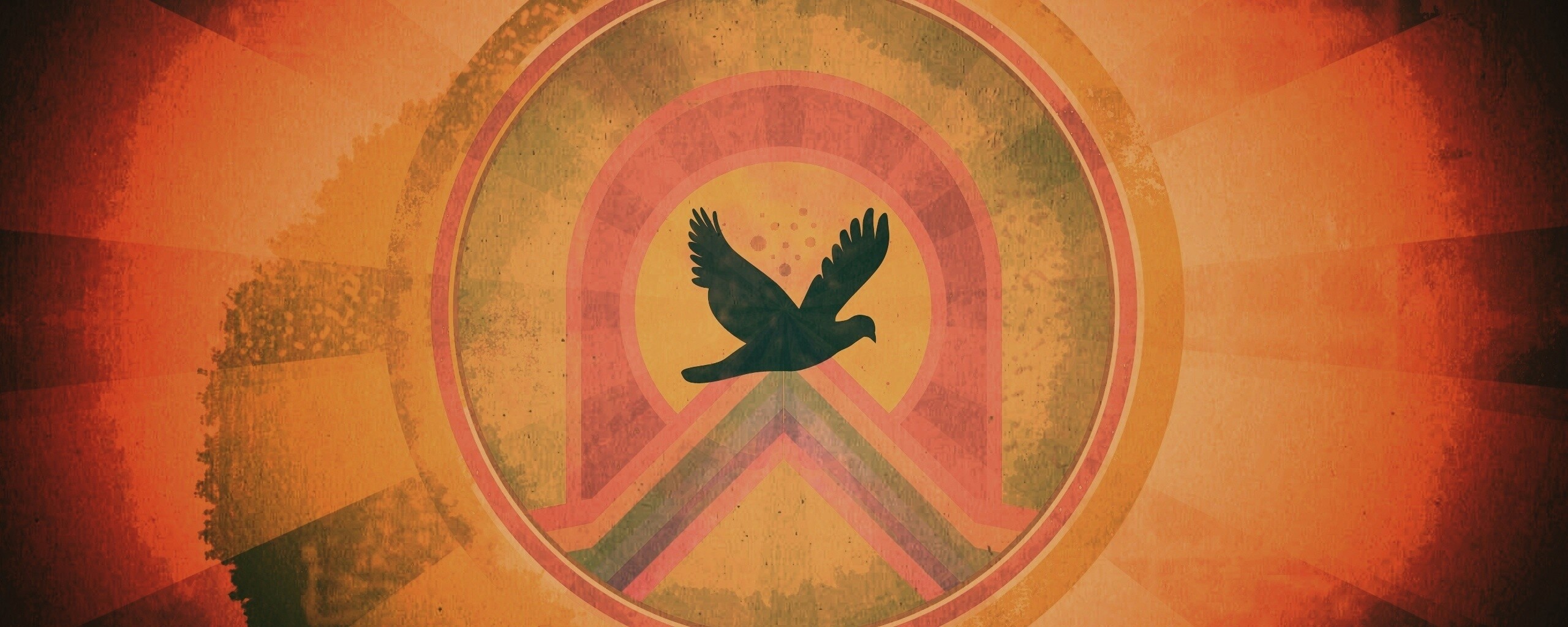 Голубь мира обои