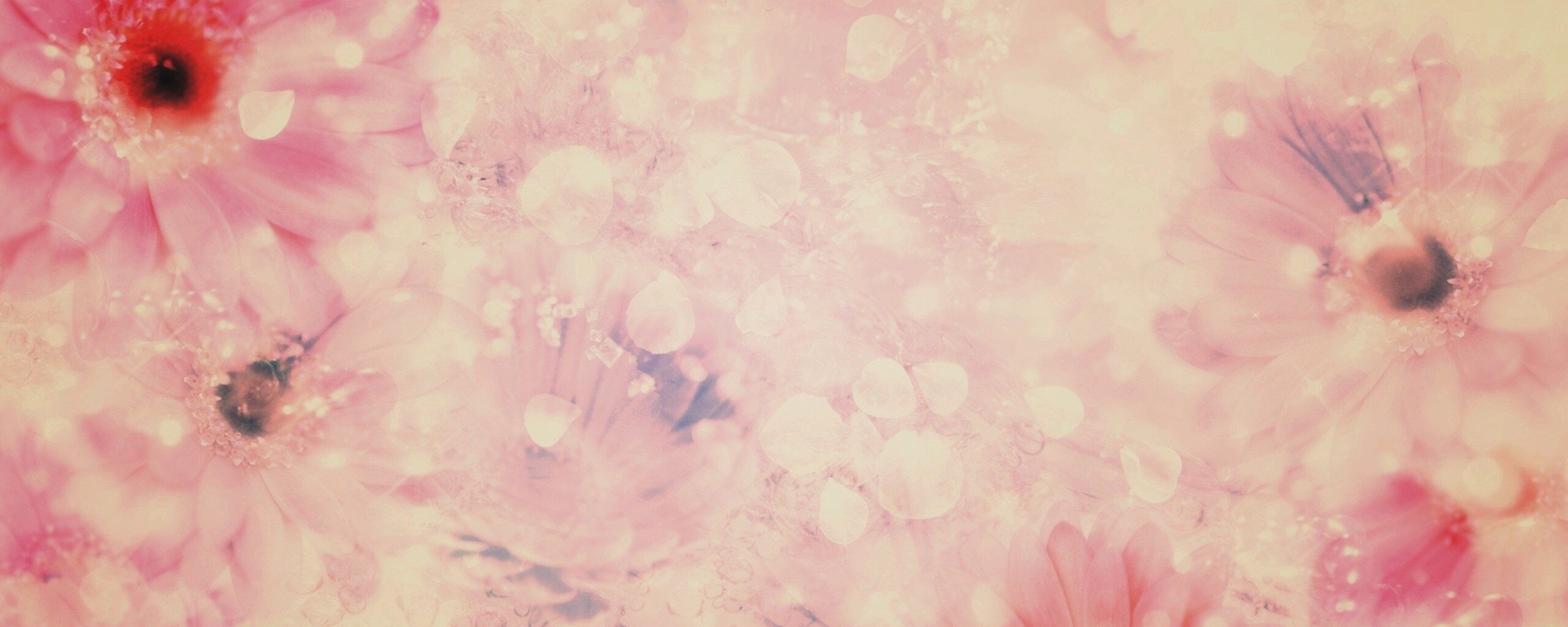 Цветочная эйфория обои