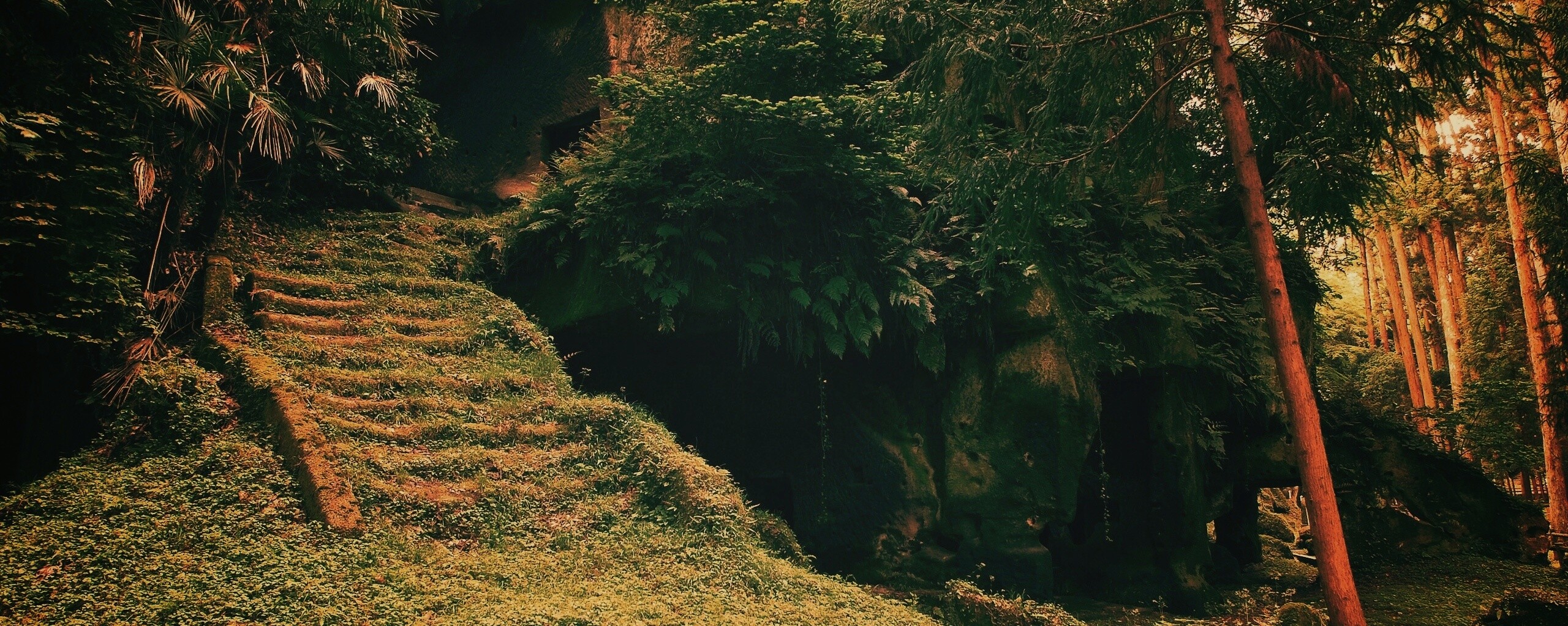 Старинный лесной храм обои